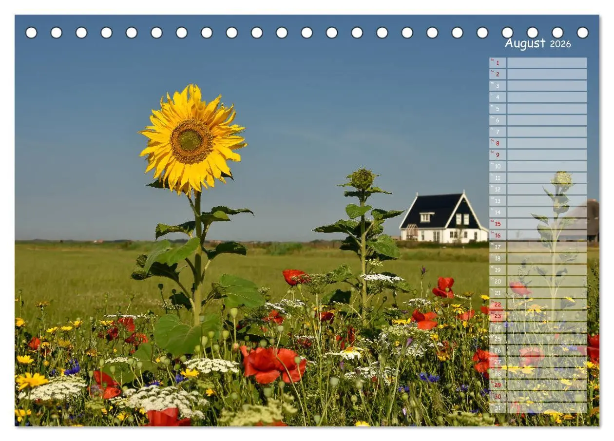 Bild: 9783457737279 | Ein Sommer auf Texel (Tischkalender 2026 DIN A5 quer), CALVENDO...