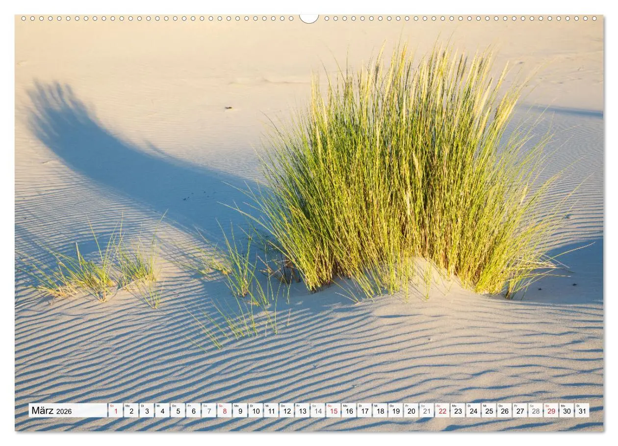 Bild: 9783516067279 | Amrum. Natur und Landschaften (Wandkalender 2026 DIN A2 quer),...