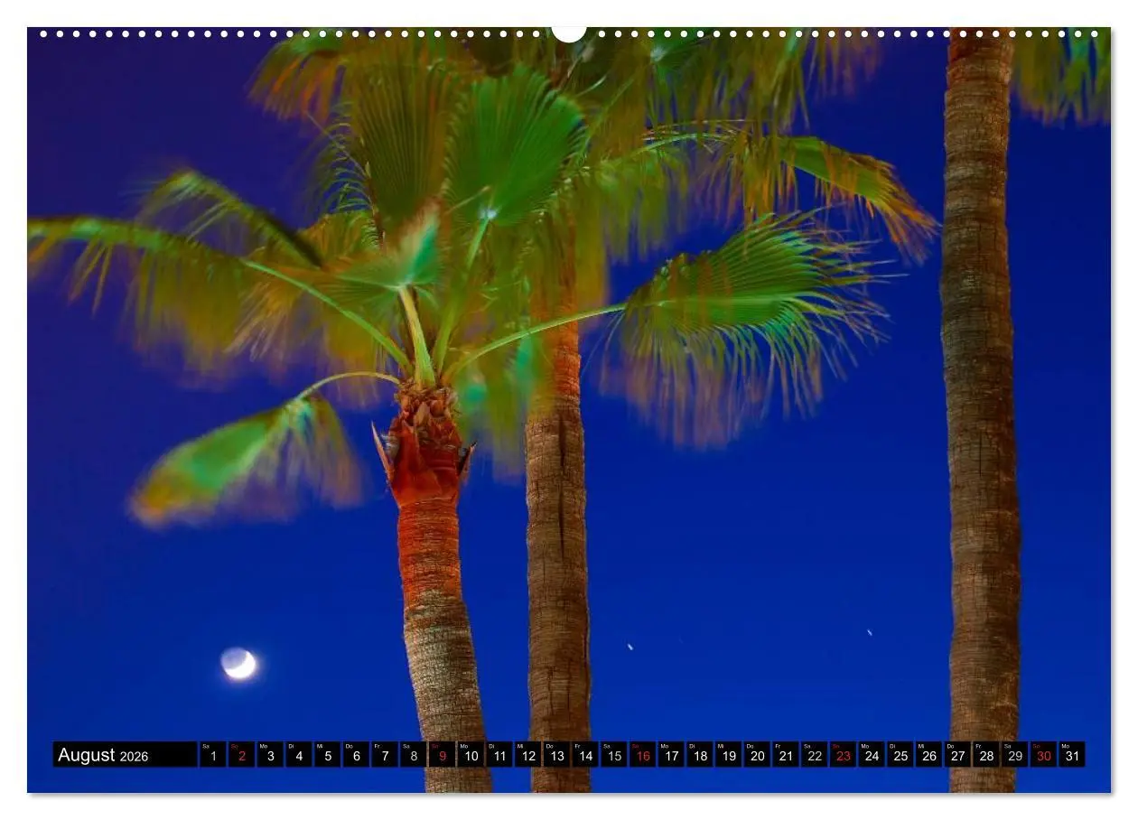 Bild: 9783516207279 | MALLORCA zum VERLIEBEN (hochwertiger Premium Wandkalender 2026 DIN...
