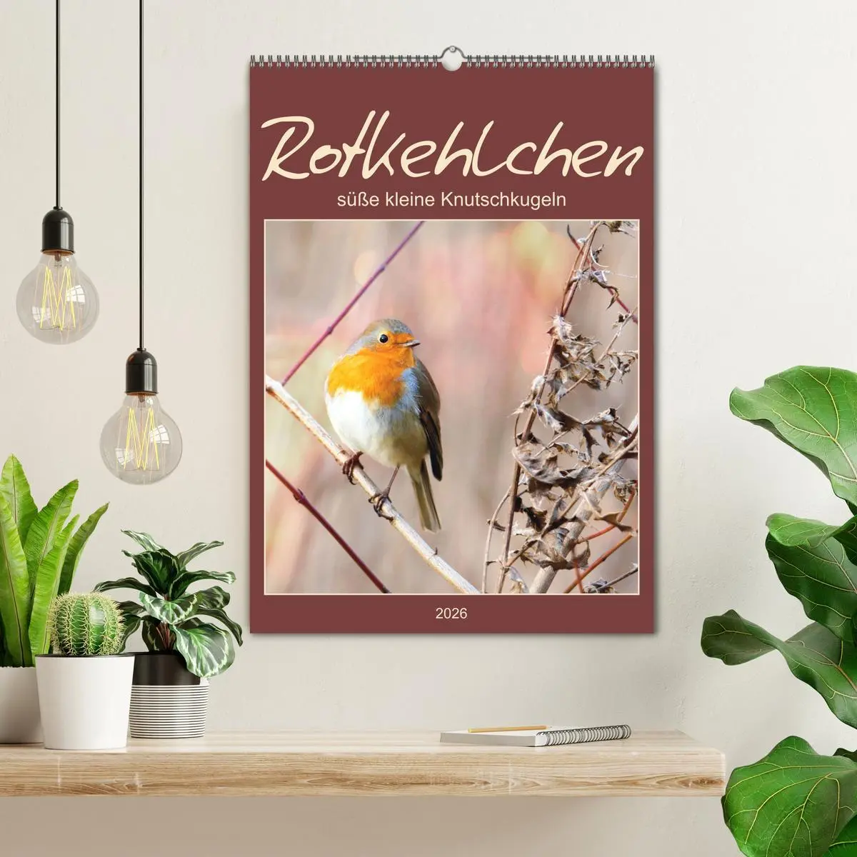 Bild: 9783516367379 | Rotkehlchen, süße kleine Knutschkugeln (Wandkalender 2026 DIN A2...