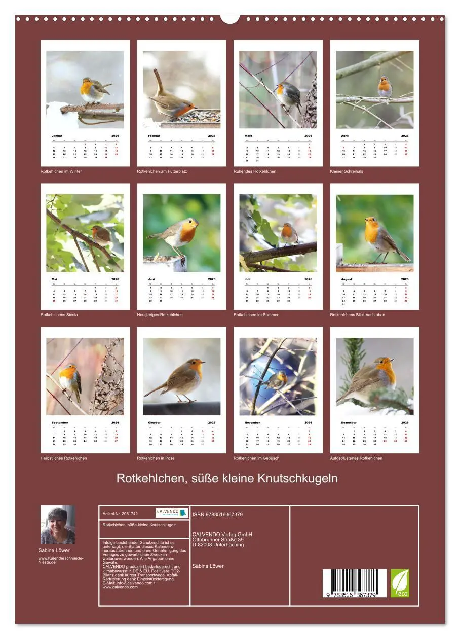 Bild: 9783516367379 | Rotkehlchen, süße kleine Knutschkugeln (Wandkalender 2026 DIN A2...