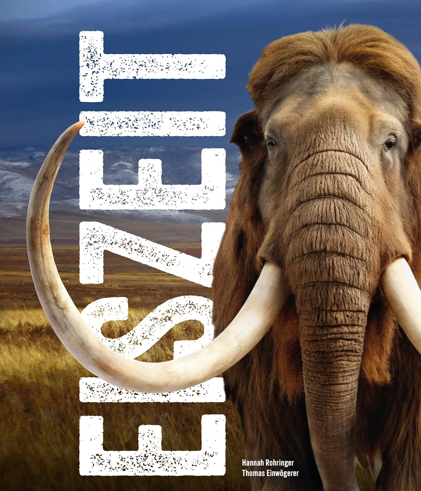 Cover: 9783700197379 | Eiszeit - Ice Age | Hannah Rohringer (u. a.) | Taschenbuch | Deutsch