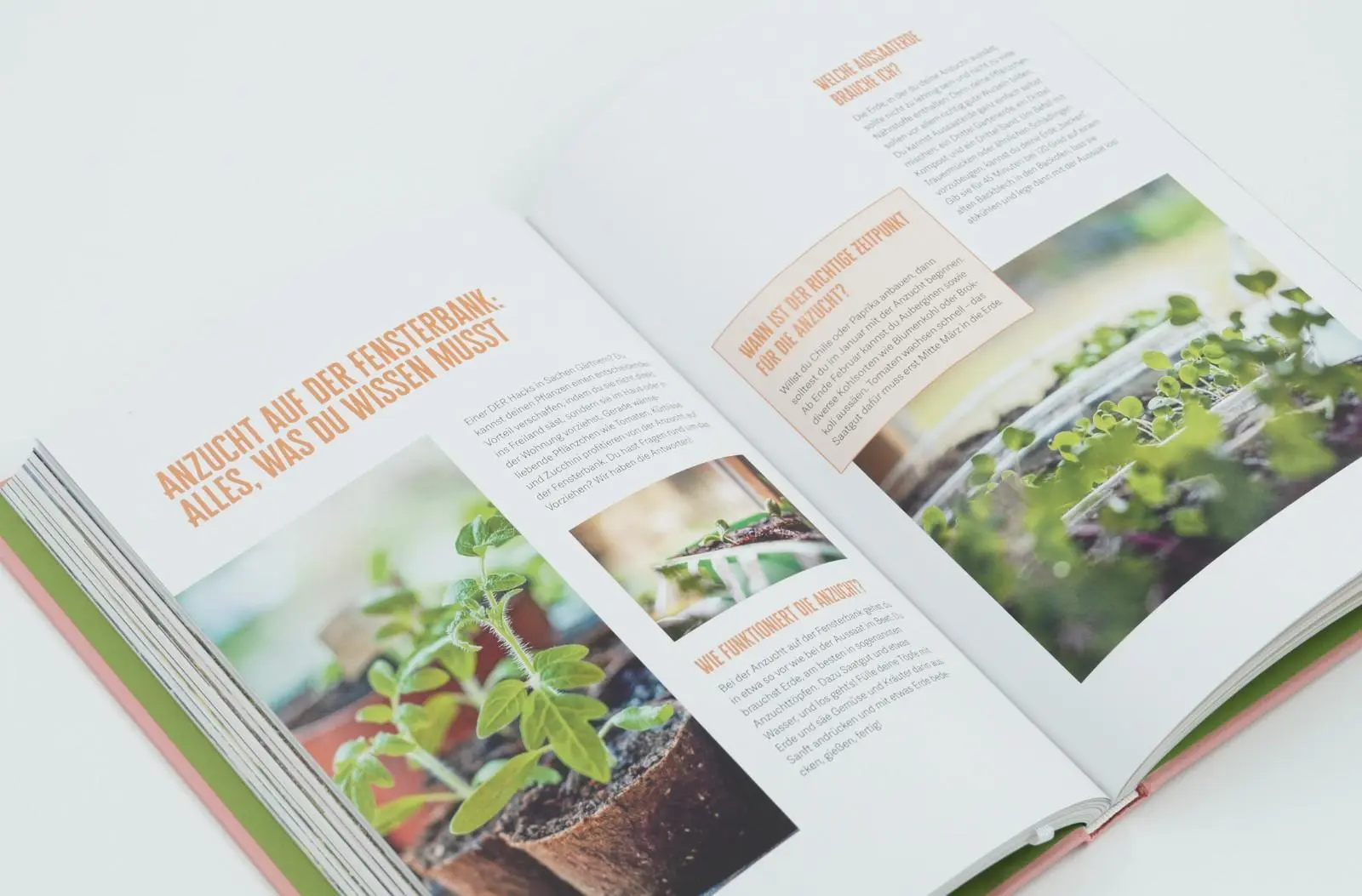 Bild: 9783784357379 | Hochbeet - Jetzt durchstarten! | Deborah Hucht (u. a.) | Buch | 176 S.