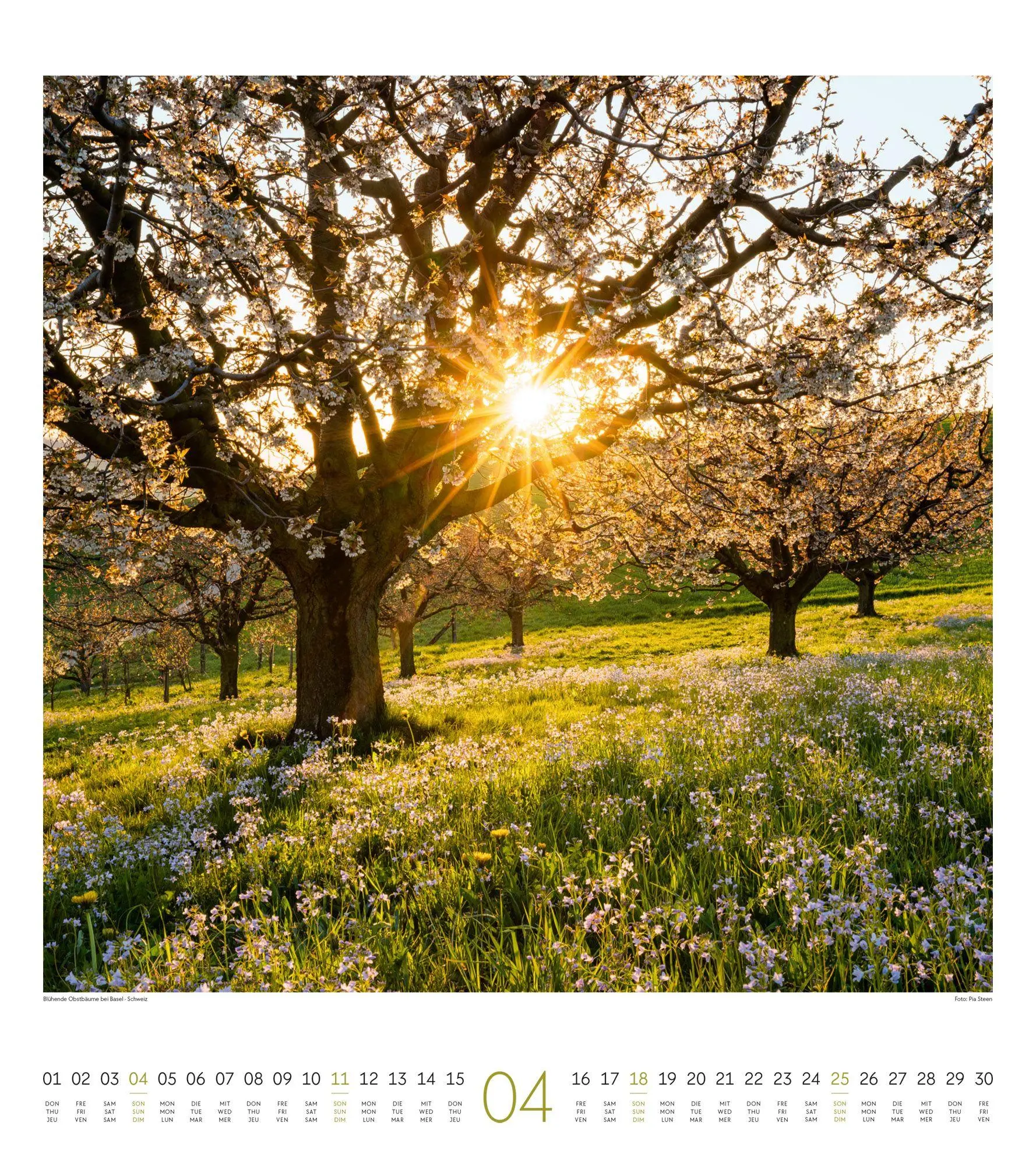 Bild: 9783838427379 | Lichtblicke Kalender 2027 | Ackermann Kunstverlag GmbH | Kalender
