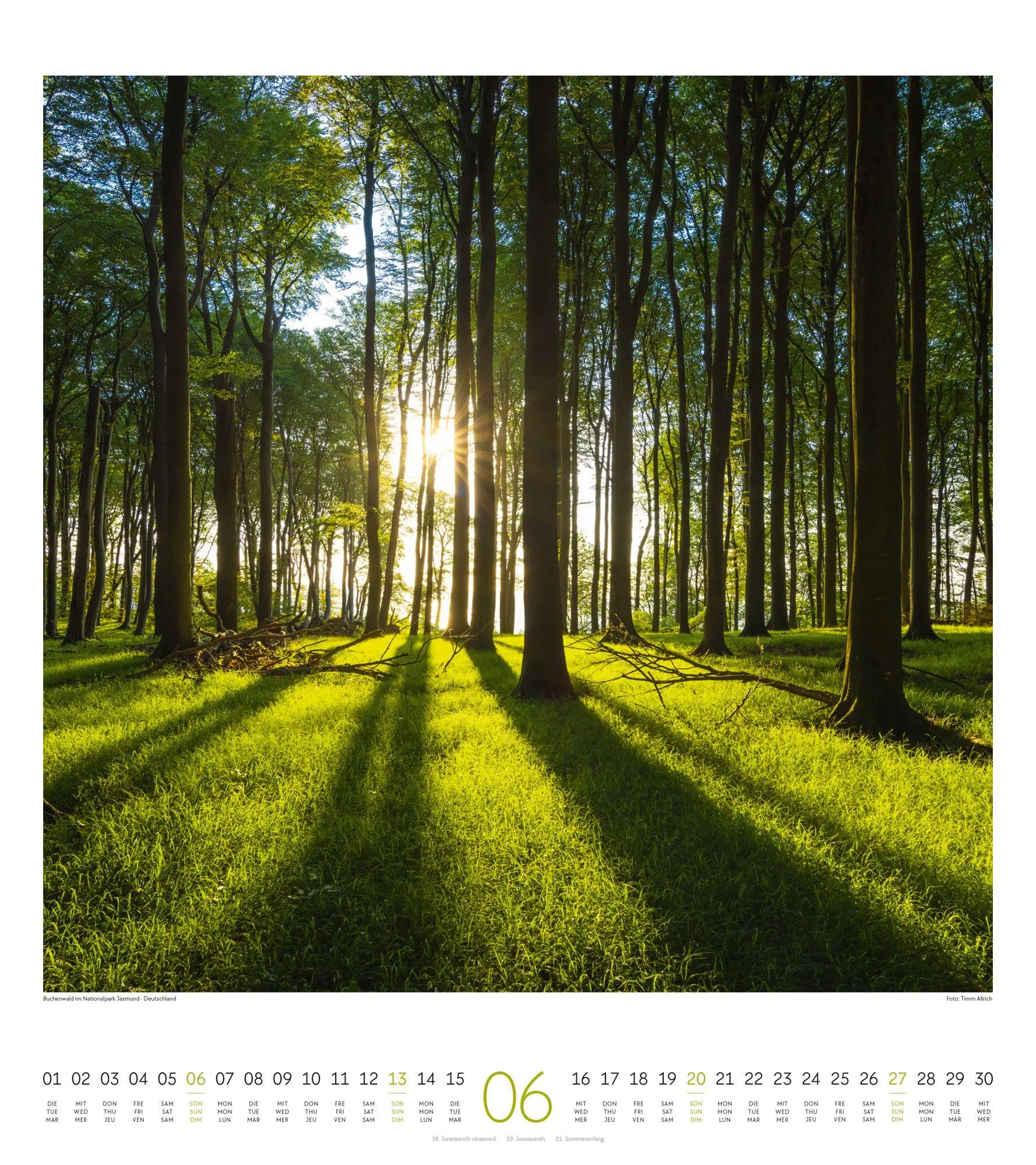 Bild: 9783838427379 | Lichtblicke Kalender 2027 | Ackermann Kunstverlag GmbH | Kalender