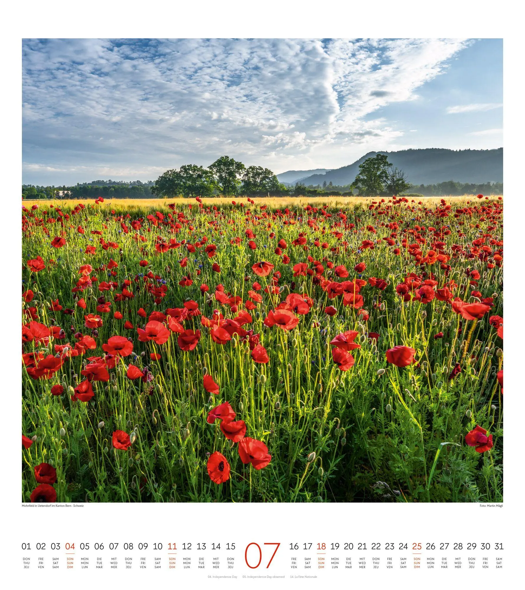 Bild: 9783838427379 | Lichtblicke Kalender 2027 | Ackermann Kunstverlag GmbH | Kalender