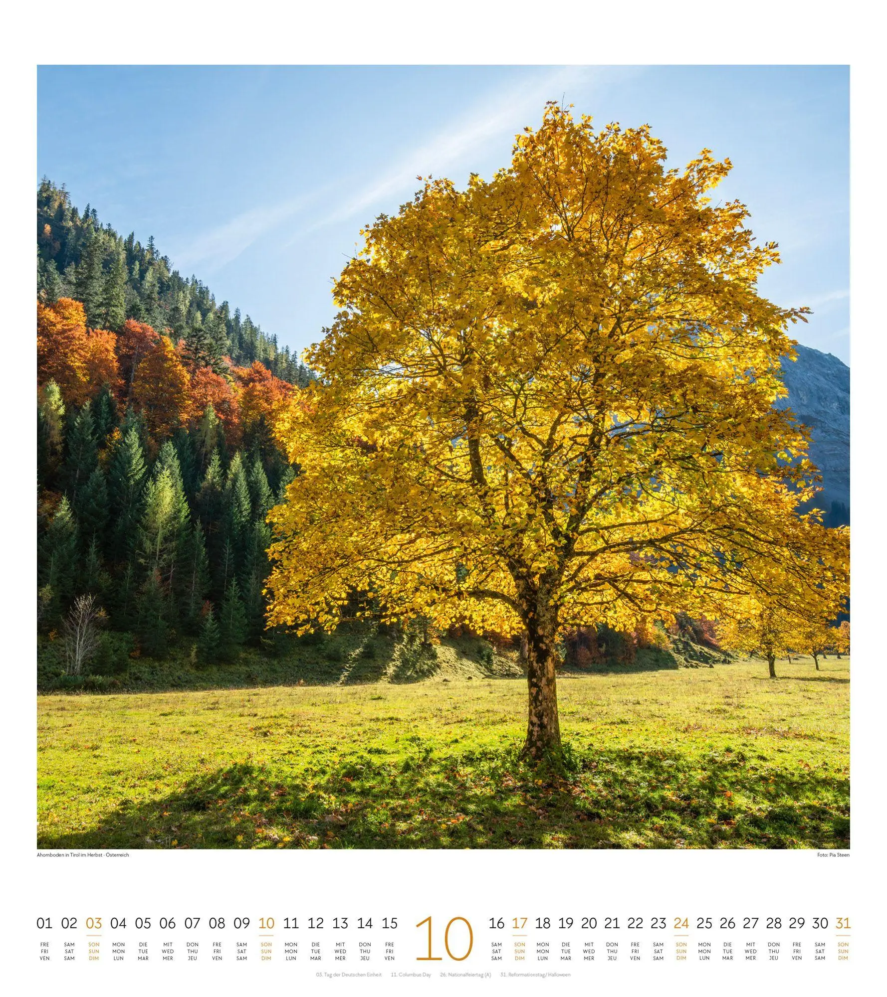 Bild: 9783838427379 | Lichtblicke Kalender 2027 | Ackermann Kunstverlag GmbH | Kalender