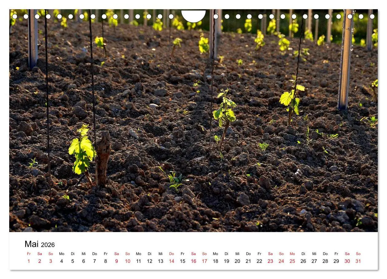 Bild: 9783516047479 | Impressionen vom Kaiserstuhl (Wandkalender 2026 DIN A4 quer),...