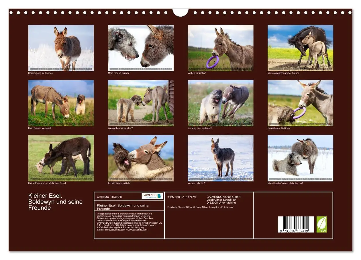 Bild: 9783516117479 | Kleiner Esel. Boldewyn und seine Freunde (Wandkalender 2026 DIN A3...