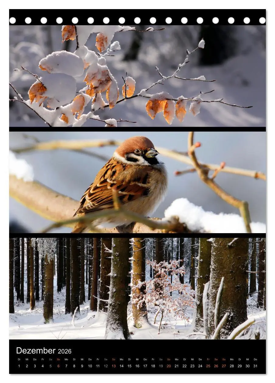 Bild: 9783516357479 | Bezaubernde Farben der Natur (Tischkalender 2026 DIN A5 hoch),...