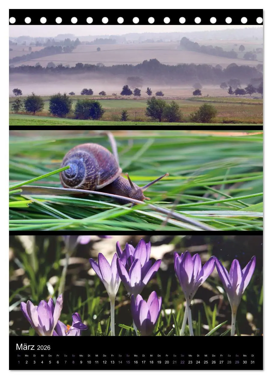 Bild: 9783516357479 | Bezaubernde Farben der Natur (Tischkalender 2026 DIN A5 hoch),...