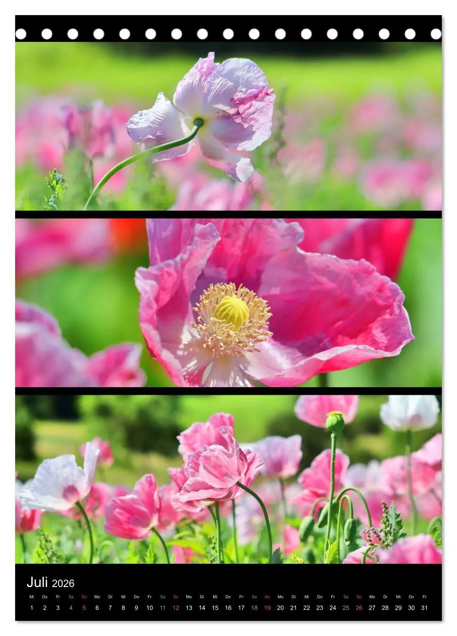 Bild: 9783516357479 | Bezaubernde Farben der Natur (Tischkalender 2026 DIN A5 hoch),...