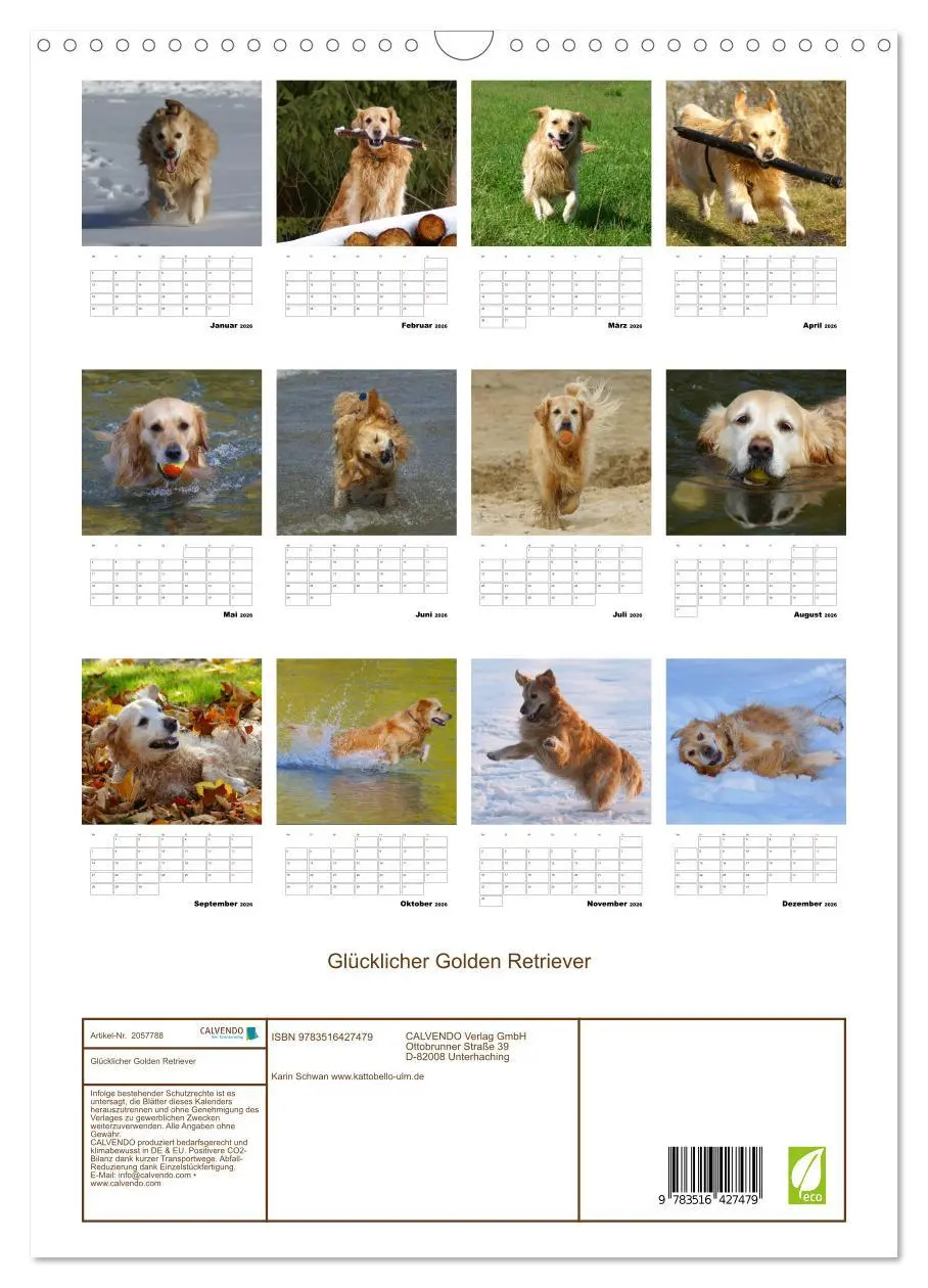 Bild: 9783516427479 | Glücklicher Golden Retriever (Wandkalender 2026 DIN A3 hoch),...