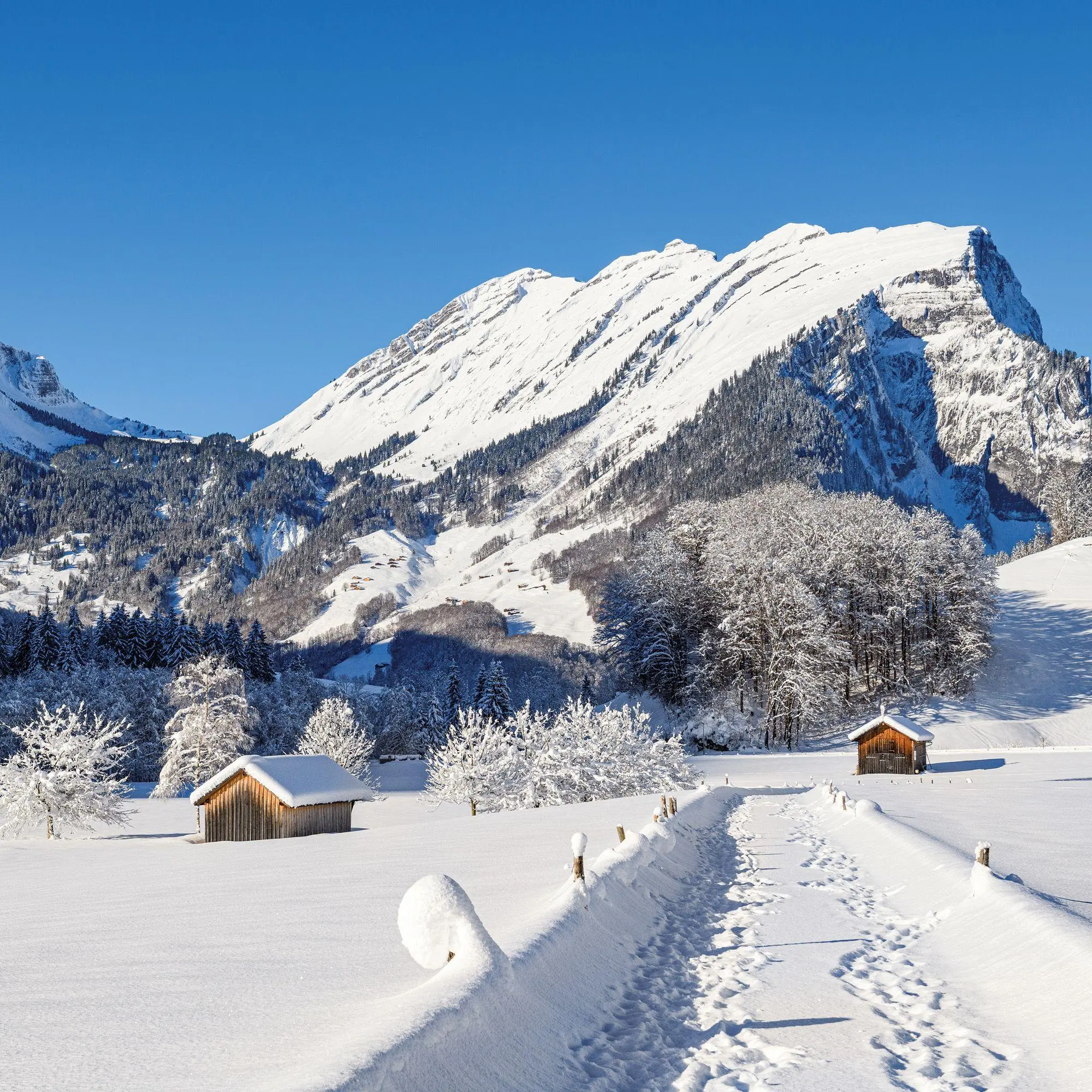 Bild: 9783959297479 | Alpen / Alps 2027 | Kalender 2027 | Kalender | Artwork Edition | 28 S.