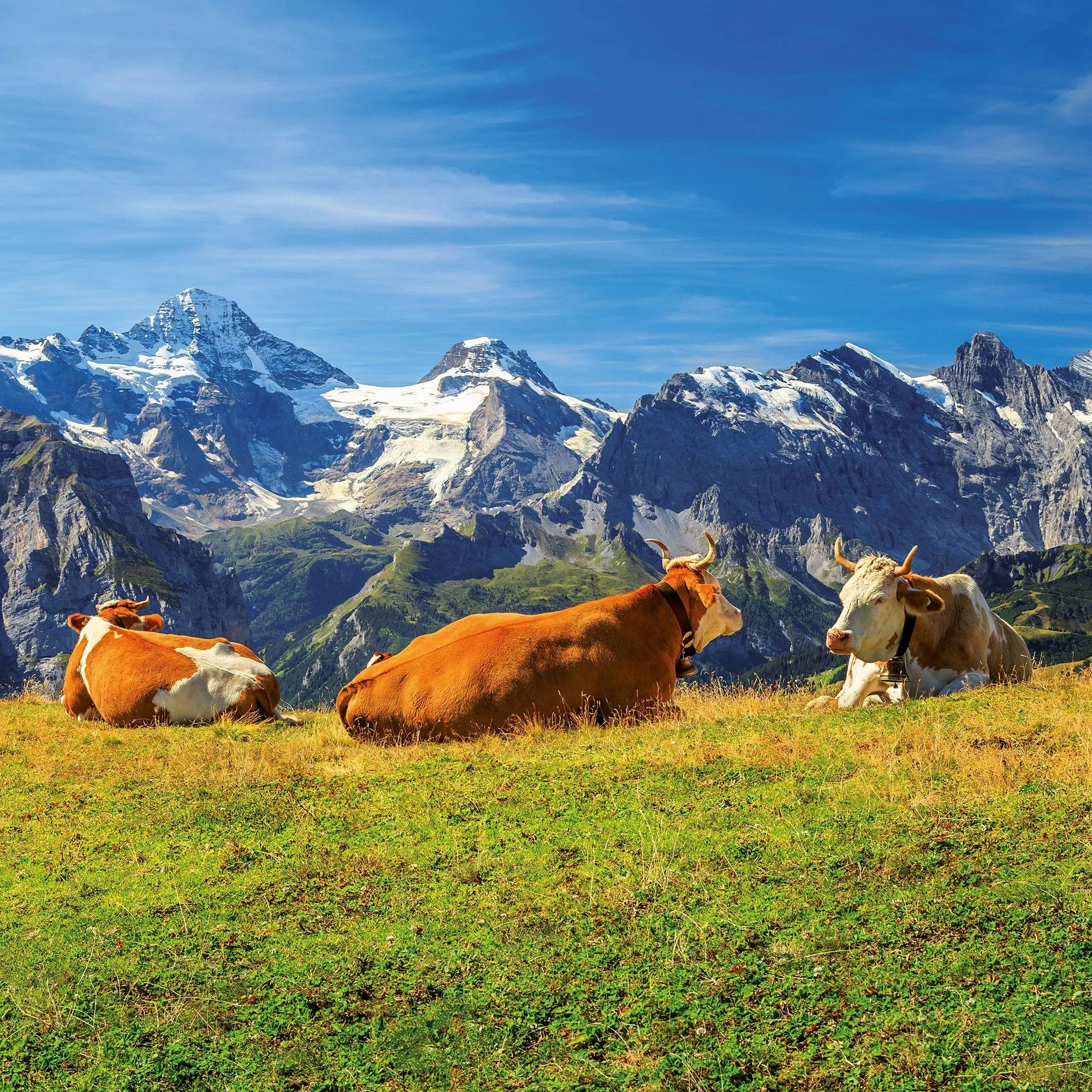 Bild: 9783959297479 | Alpen / Alps 2027 | Kalender 2027 | Kalender | Artwork Edition | 28 S.