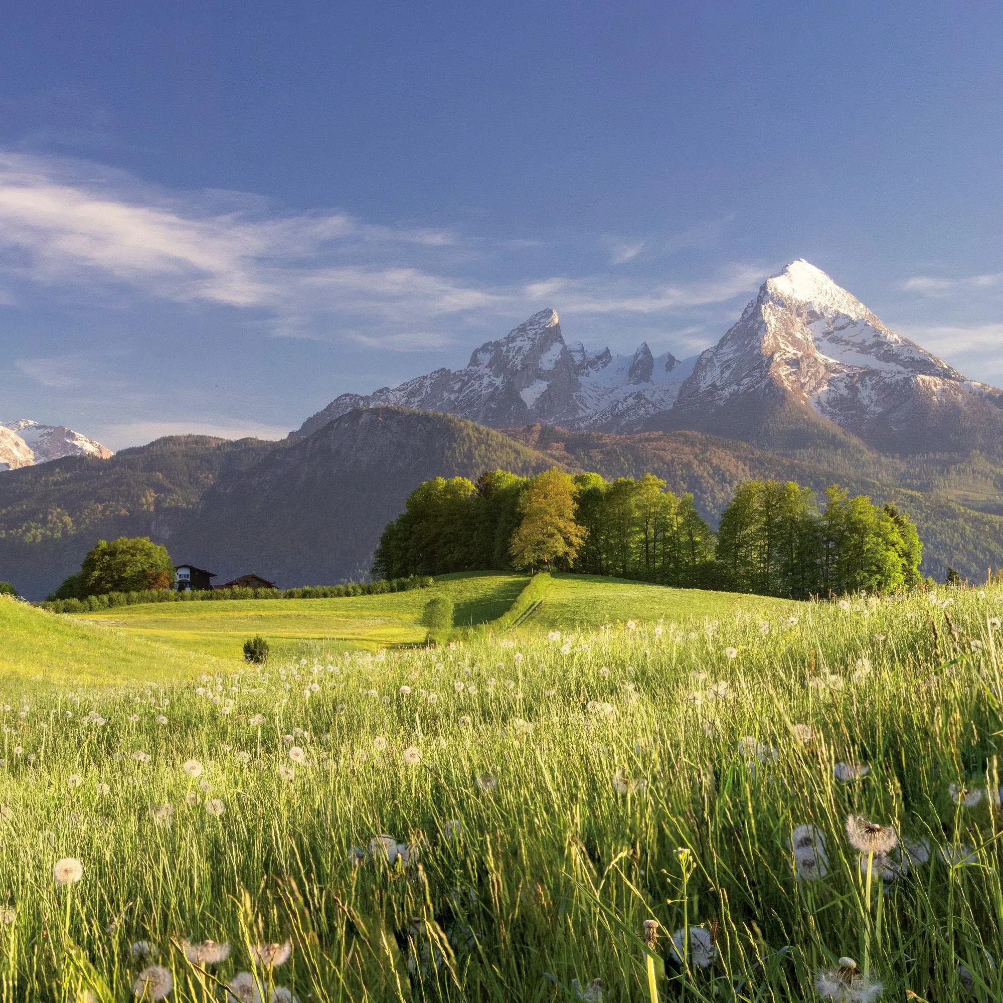 Bild: 9783959297479 | Alpen / Alps 2027 | Kalender 2027 | Kalender | Artwork Edition | 28 S.