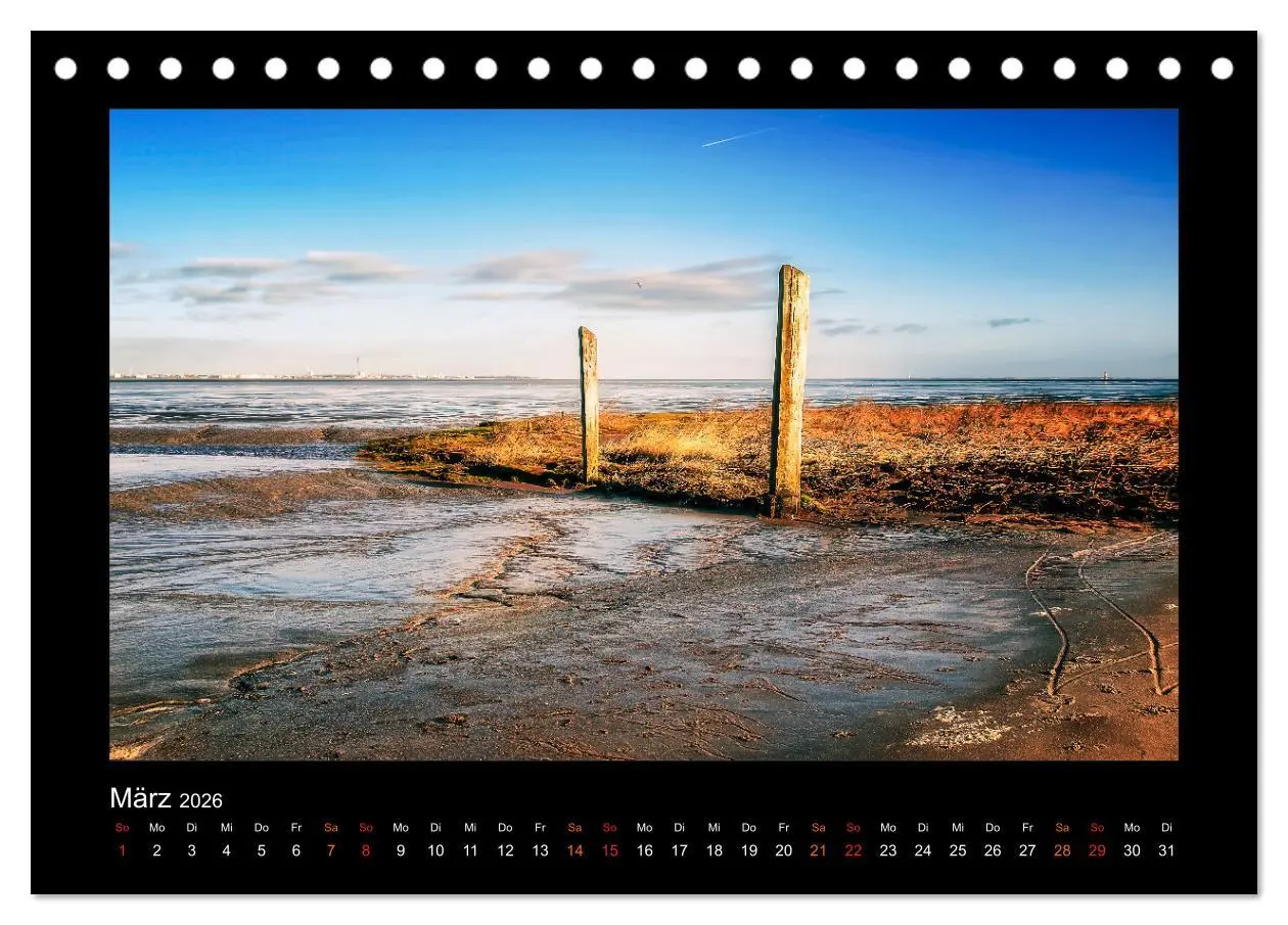 Bild: 9783457257579 | Geheimnisvolle Wildnis Deutschlands (Tischkalender 2026 DIN A5...