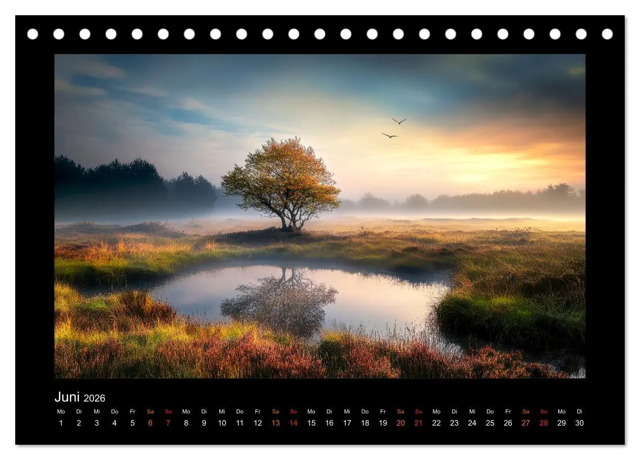 Bild: 9783457257579 | Geheimnisvolle Wildnis Deutschlands (Tischkalender 2026 DIN A5...