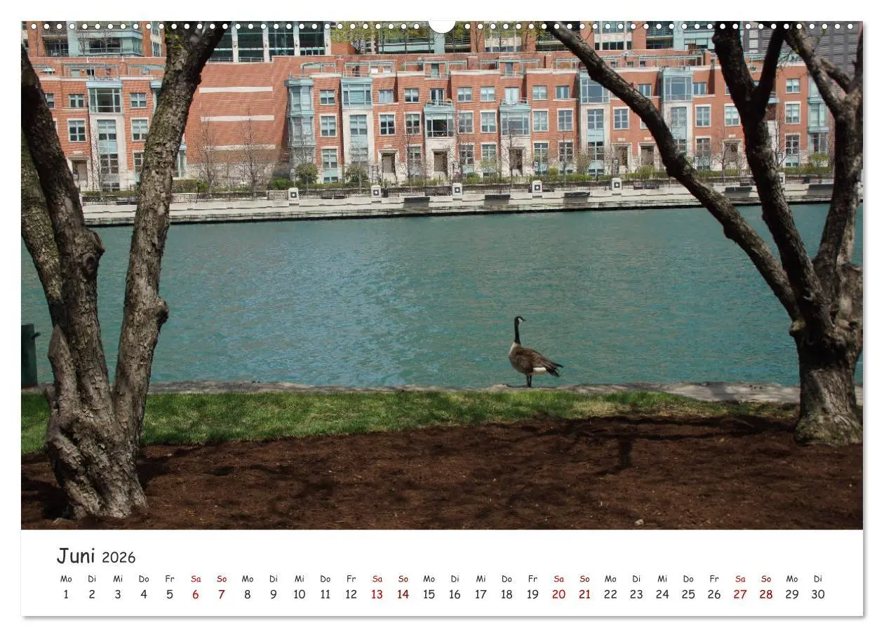 Bild: 9783457707579 | beeindruckendes Chicago (hochwertiger Premium Wandkalender 2026 DIN...