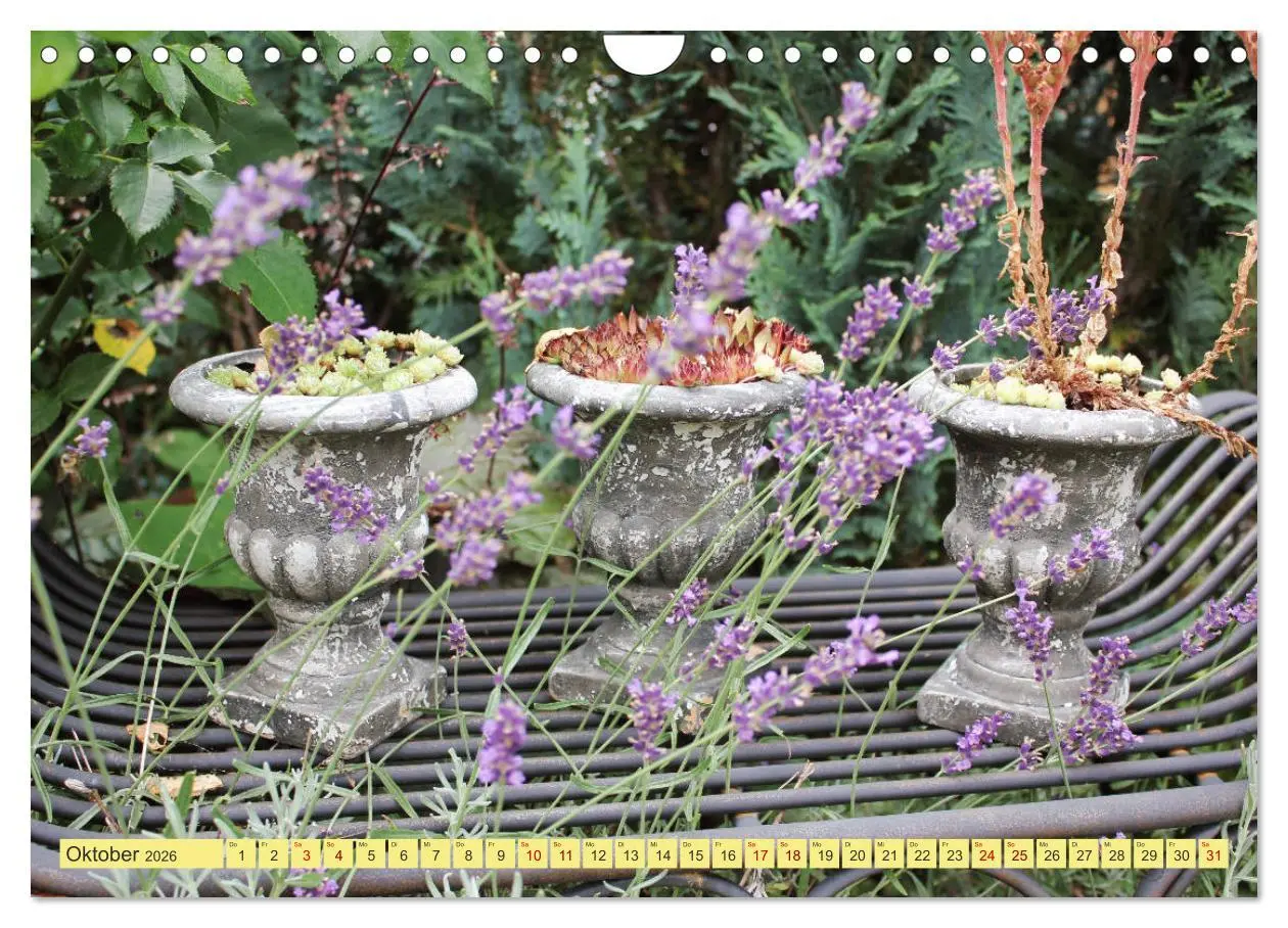 Bild: 9783457877579 | Gartenträumerei (Wandkalender 2026 DIN A4 quer), CALVENDO...