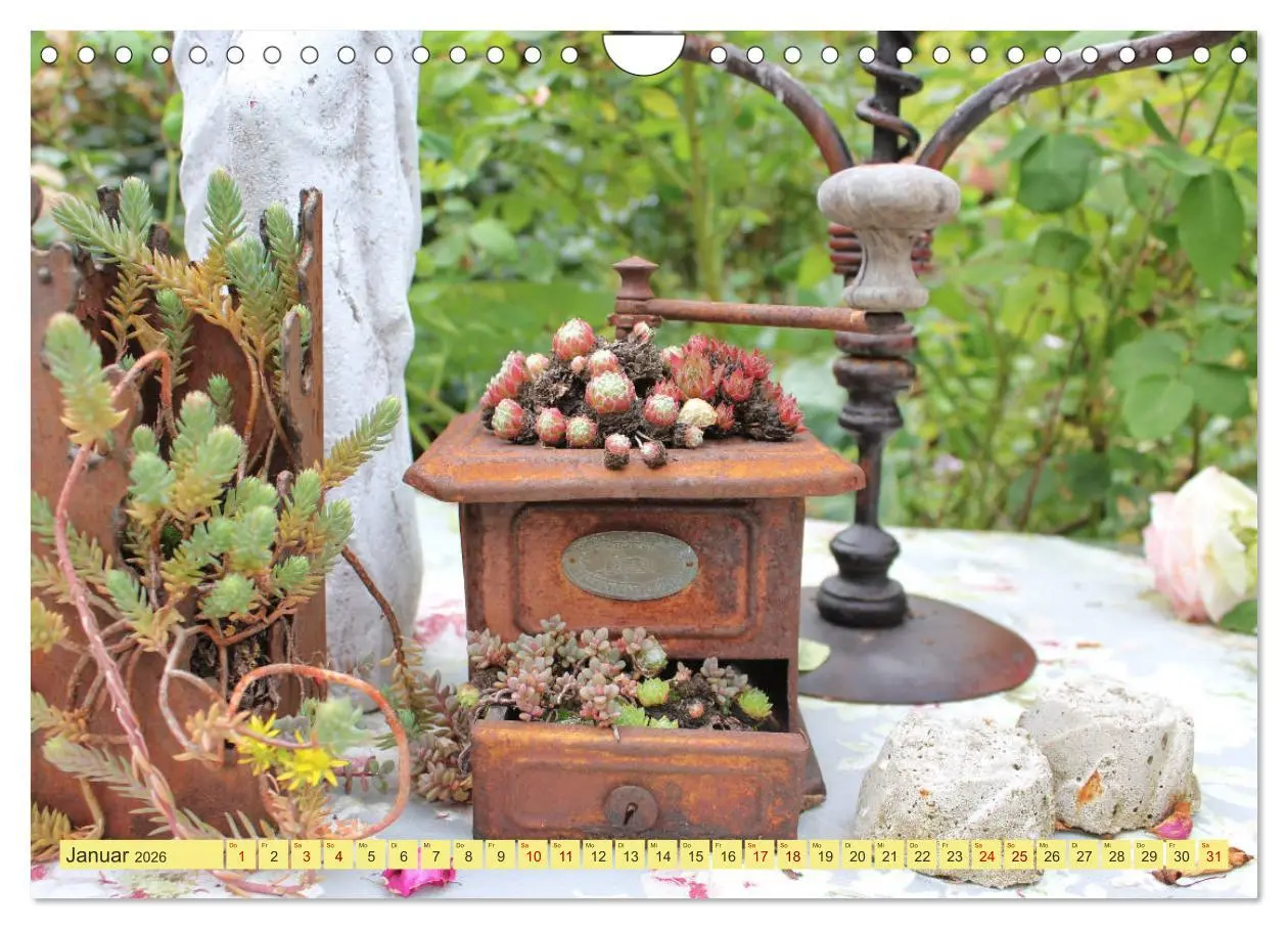 Bild: 9783457877579 | Gartenträumerei (Wandkalender 2026 DIN A4 quer), CALVENDO...