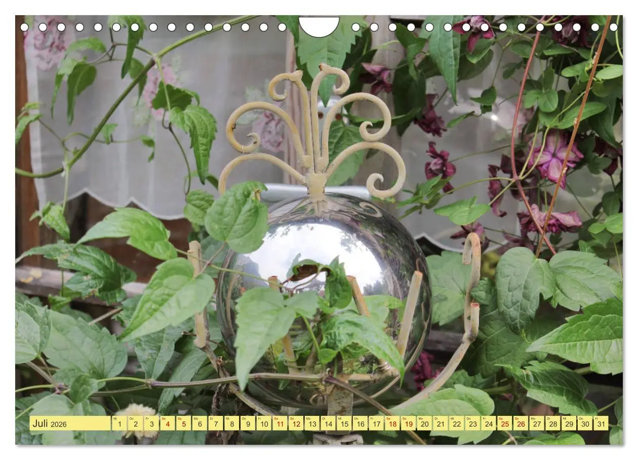 Bild: 9783457877579 | Gartenträumerei (Wandkalender 2026 DIN A4 quer), CALVENDO...