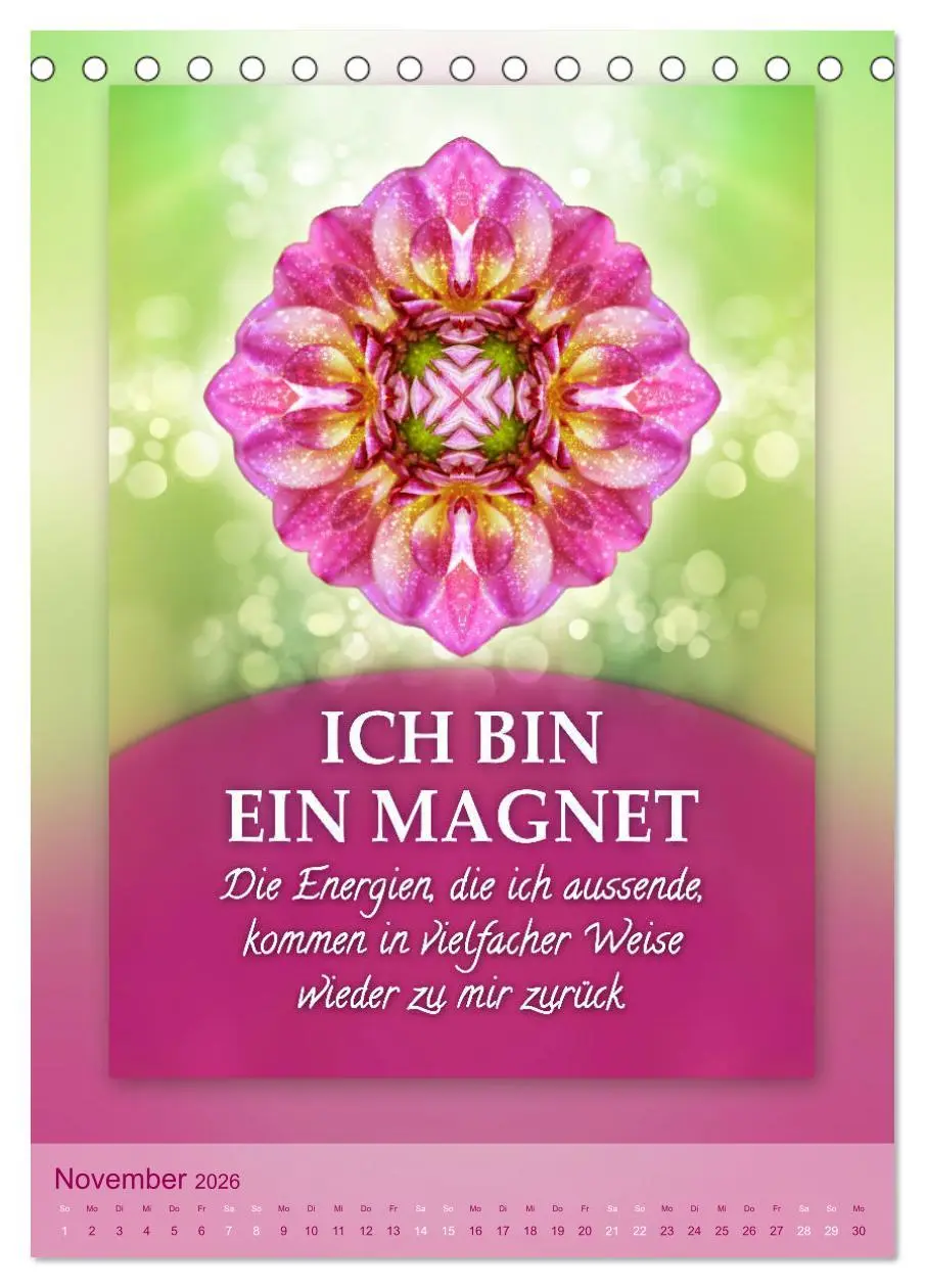Bild: 9783516417579 | ICH BIN Licht und Liebe - Kalender (Tischkalender 2026 DIN A5...