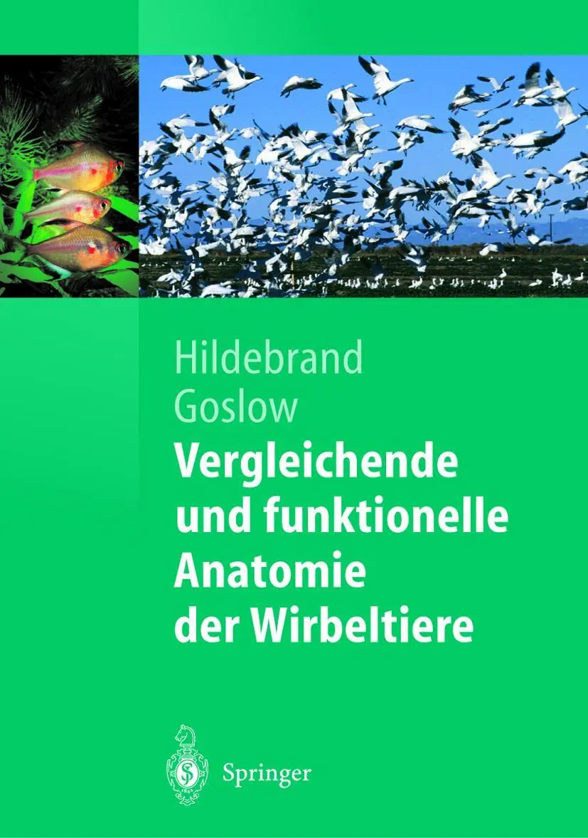 Cover: 9783540007579 | Vergleichende und funktionelle Anatomie der Wirbeltiere | Buch | xxvii