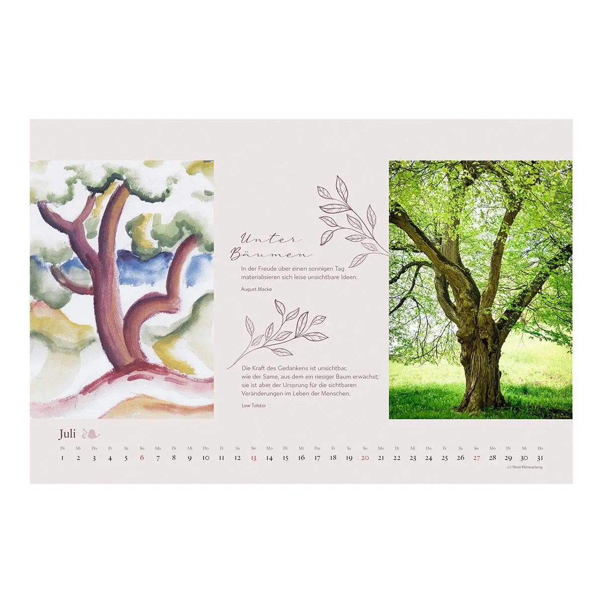 Bild: 9783746267579 | Bäume des Lebens 2026 | Der Kunst-Kalender mit 36 Postkarten | 12 S.