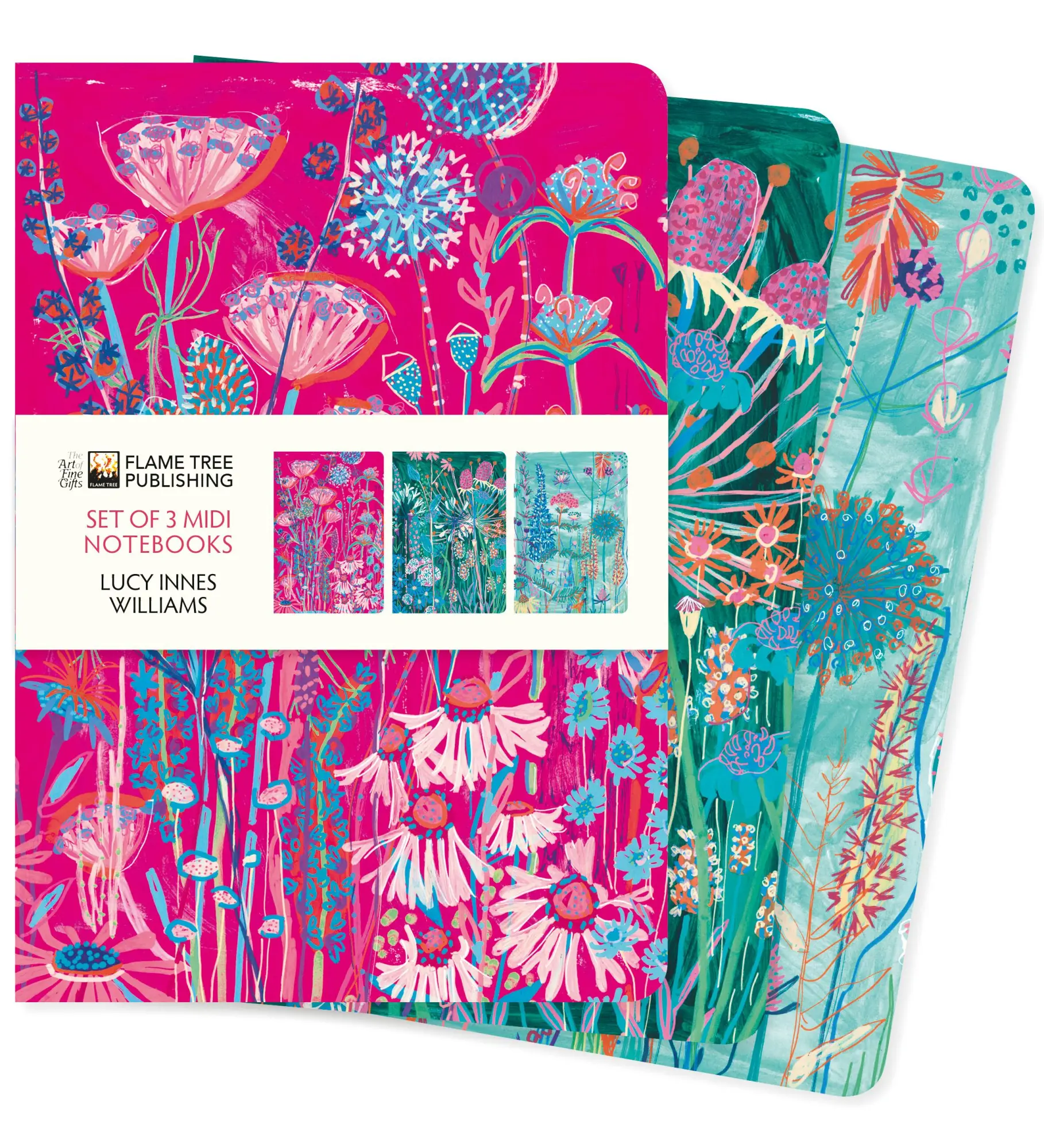 Lucy Innes Williams Set of 3 MIDI Notebooks