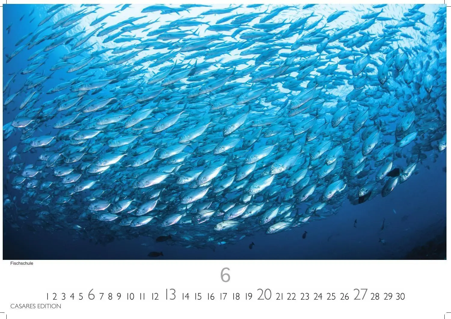 Bild: 9781835247679 | Unterwasserwelten Kalender 2027 - Wandkalender Fotokalender...