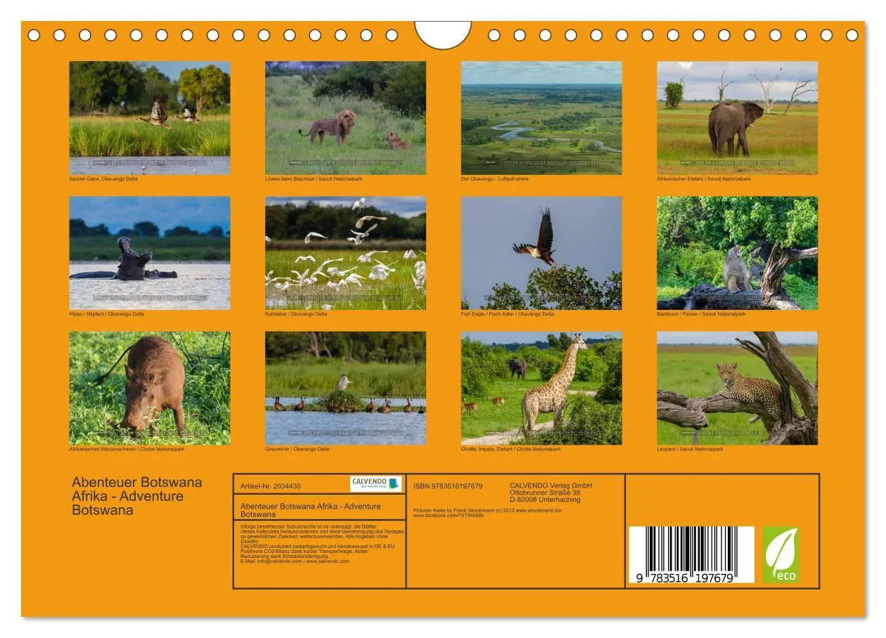 Bild: 9783516197679 | Abenteuer Botswana Afrika - Adventure Botswana (Wandkalender 2026...
