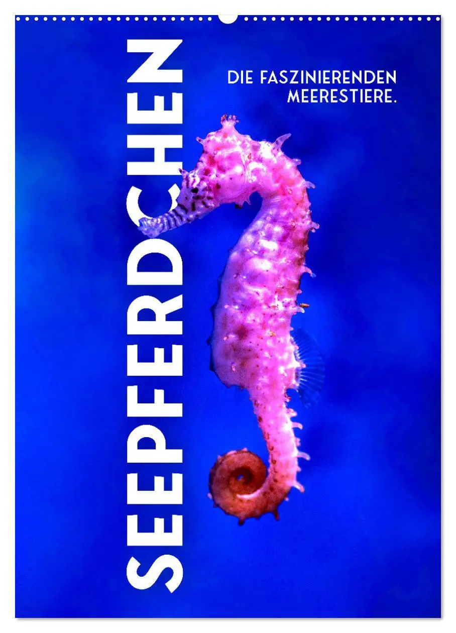 Cover: 9783516337679 | Seepferdchen - Die faszinierende Meerestiere. (Wandkalender 2026...