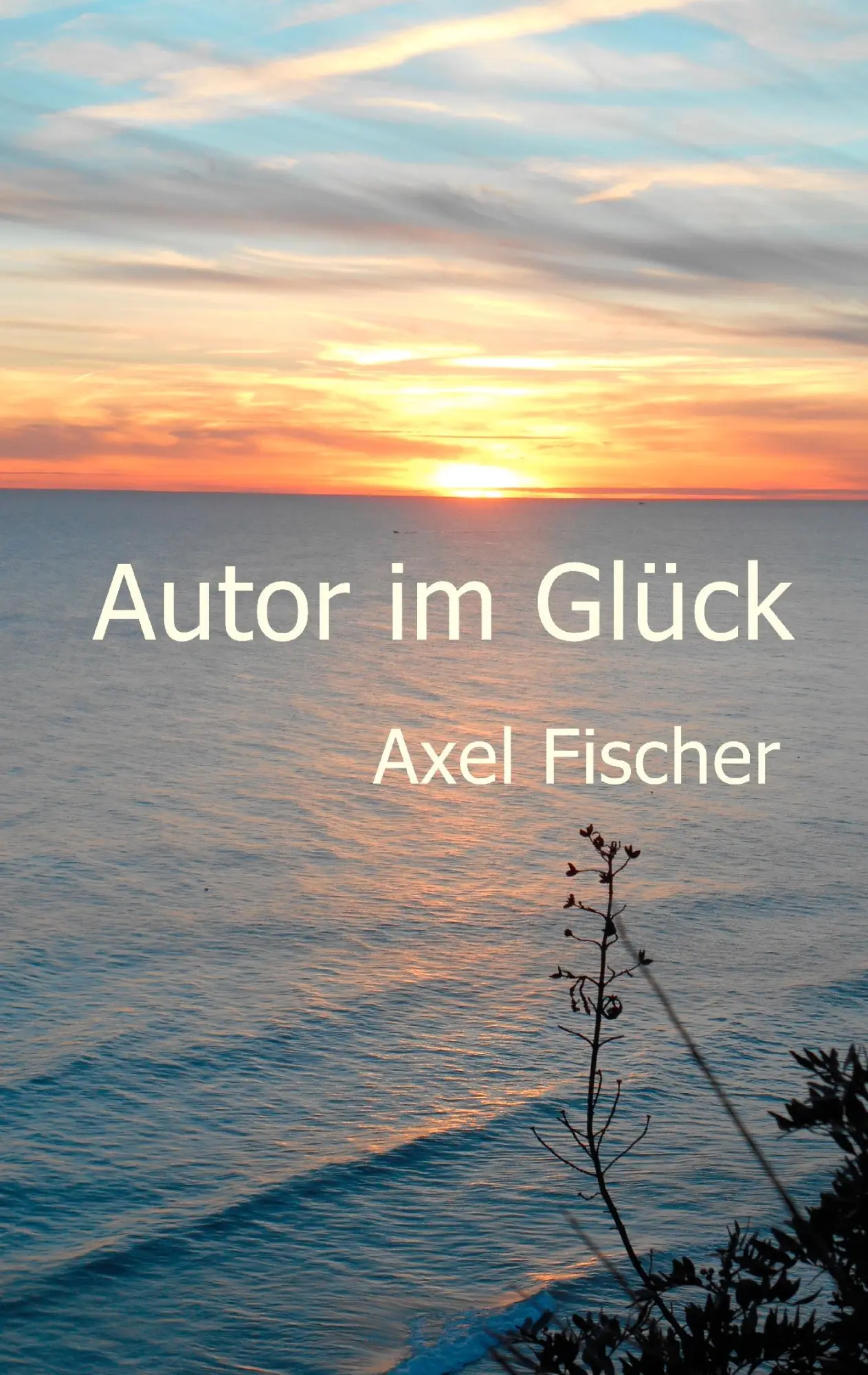 Cover: 9783842357679 | Autor im Glück | Axel Fischer | Taschenbuch | 232 S. | Deutsch | 2016