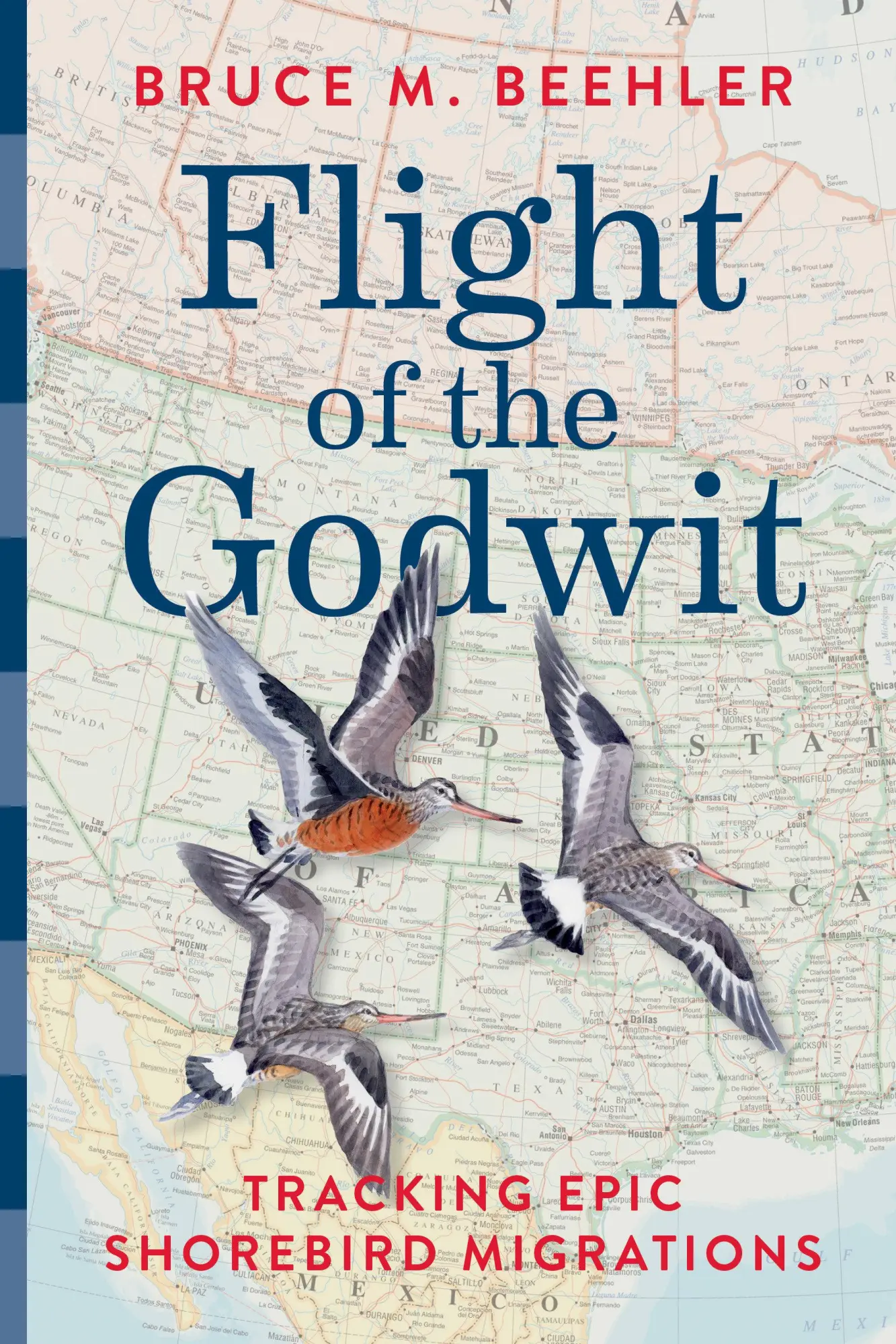 Cover: 9781588347879 | Flight of the Godwit | Tracking Epic Shorebird Migrations | Beehler