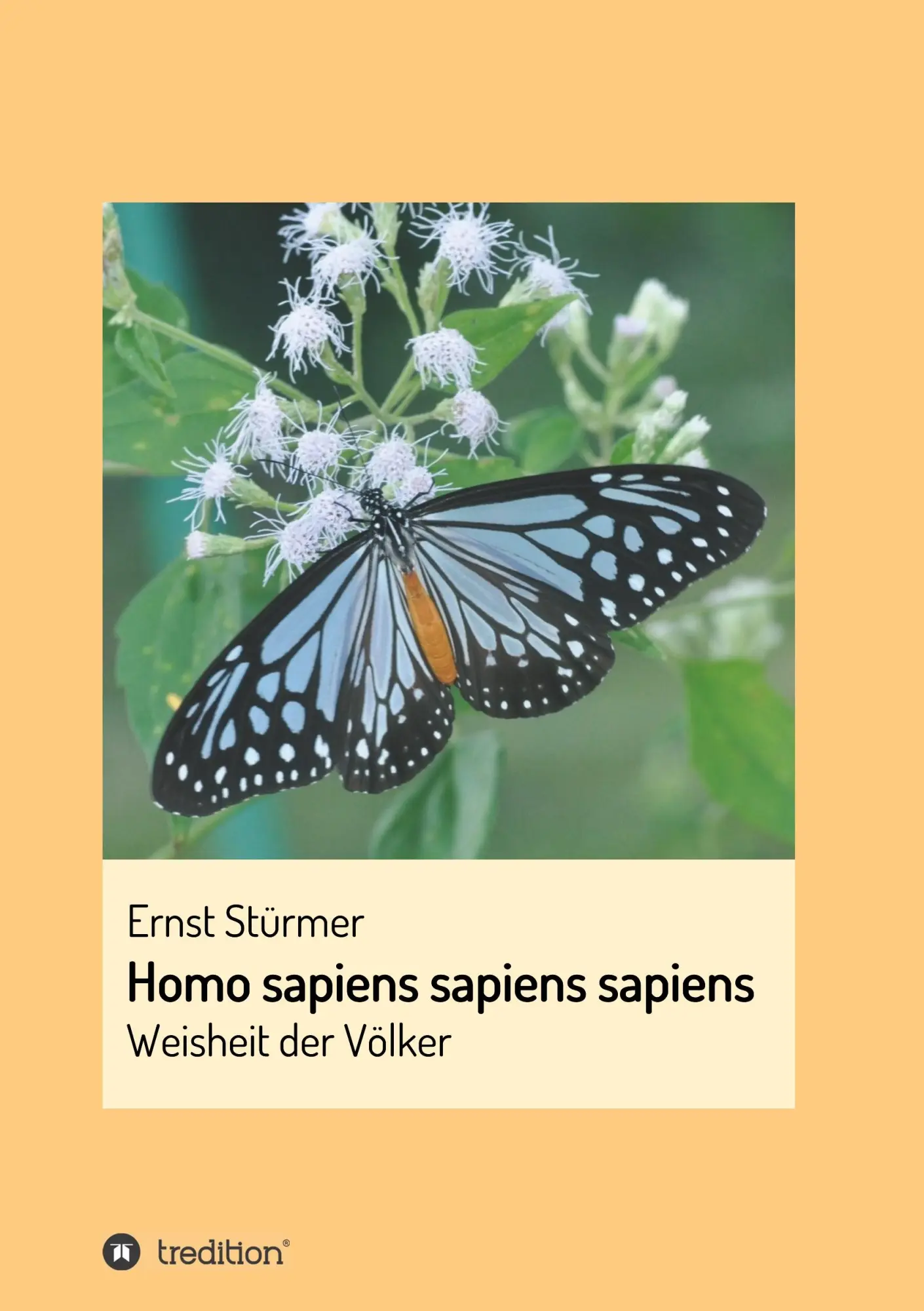 Cover: 9783748217879 | Homo sapiens sapiens sapiens | Die Weisheit der Völker | Ernst Stürmer