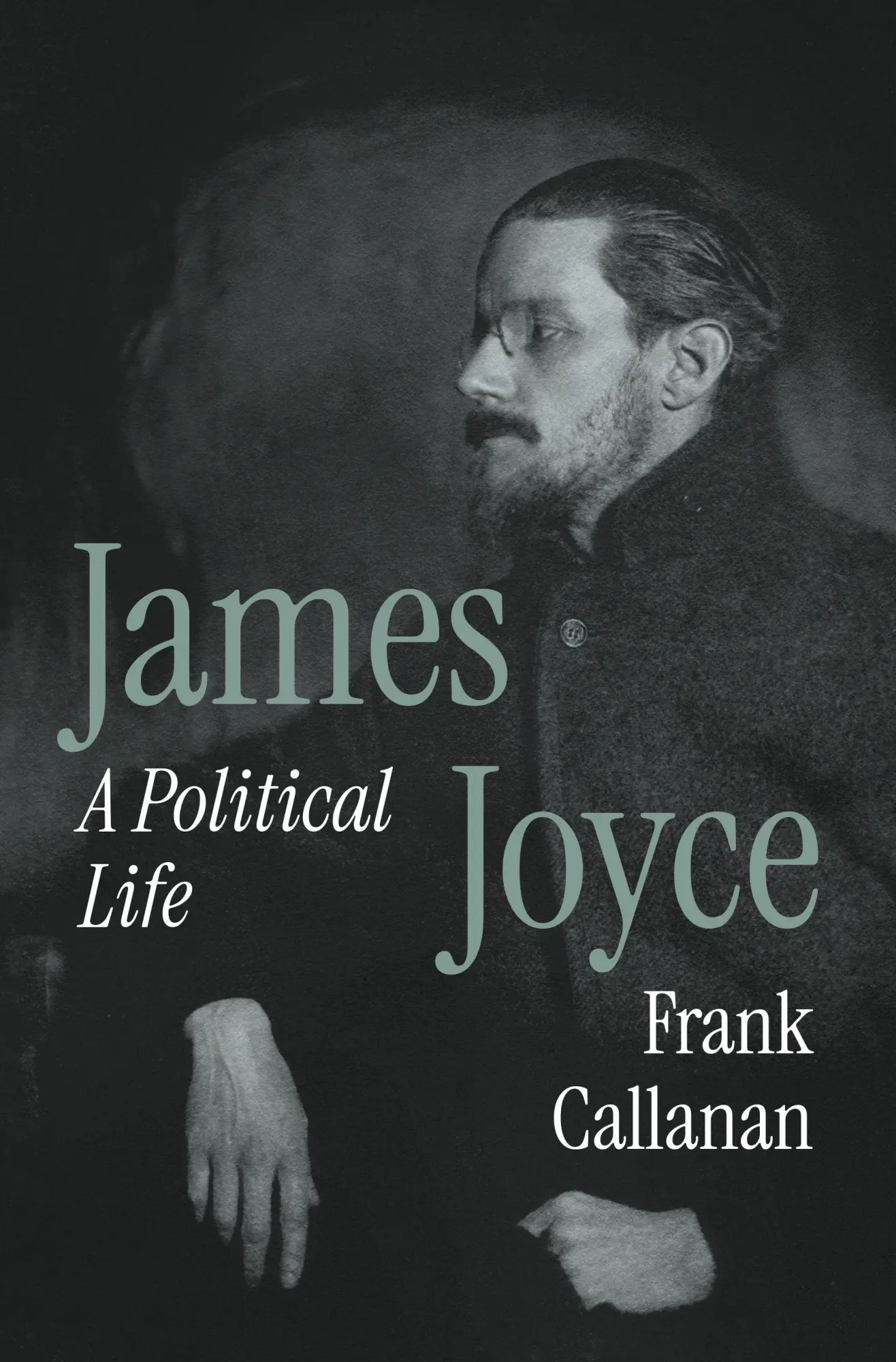 Cover: 9780691227979 | James Joyce | A Political Life | Frank Callanan | Buch | Englisch