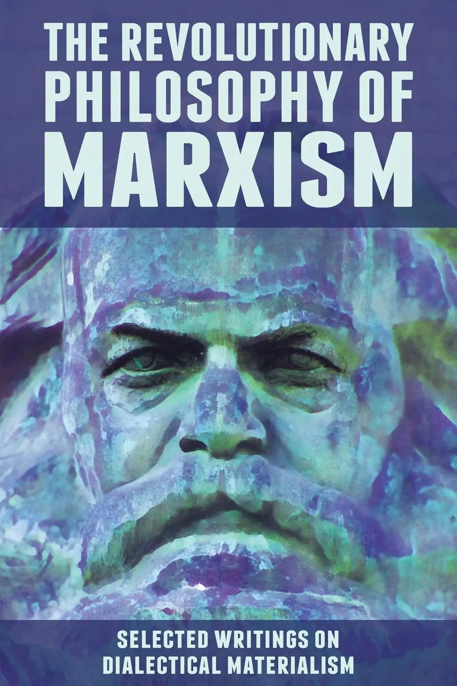 Cover: 9781900007979 | The Revolutionary Philosophy of Marxism | John Peterson | Taschenbuch