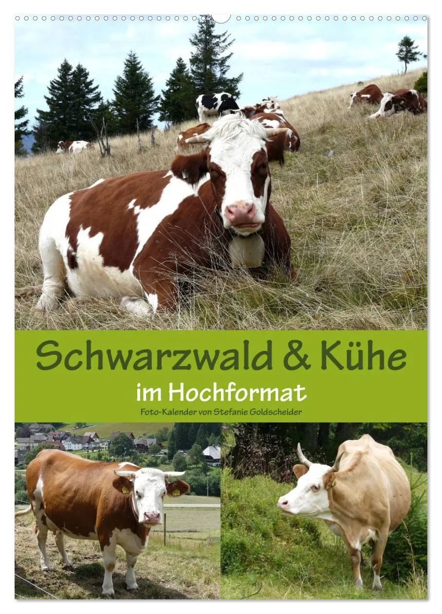 Cover: 9783516438079 | Schwarzwald und Kühe im Hochformat (Wandkalender 2026 DIN A2 hoch),...