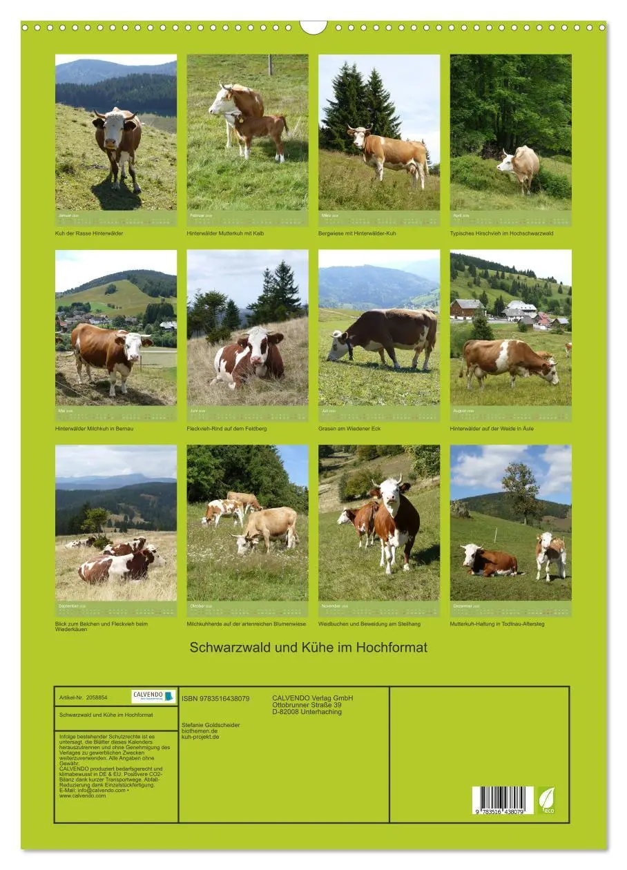 Bild: 9783516438079 | Schwarzwald und Kühe im Hochformat (Wandkalender 2026 DIN A2 hoch),...
