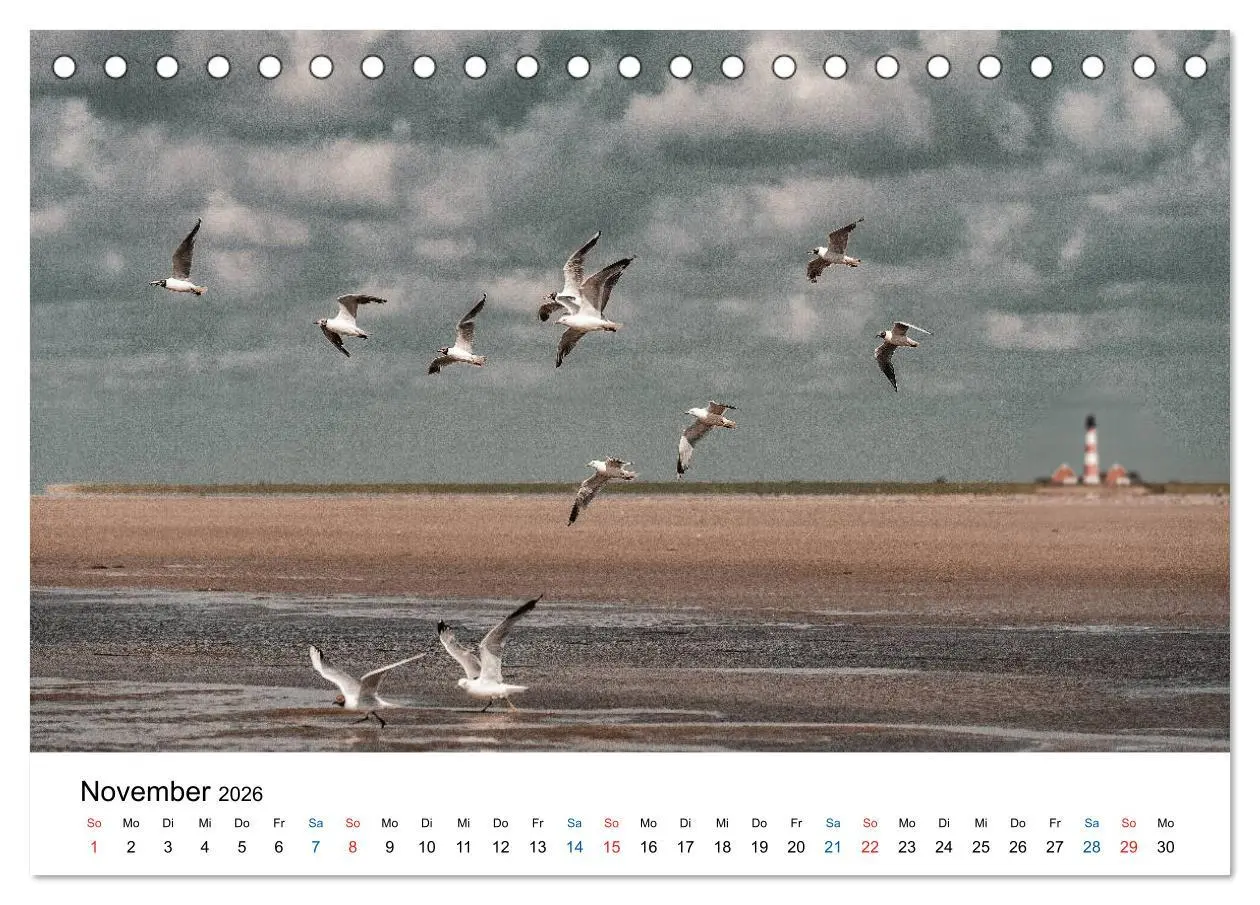 Bild: 9783457718179 | Lichtstimmungen in Sankt Peter-Ording (Tischkalender 2026 DIN A5...