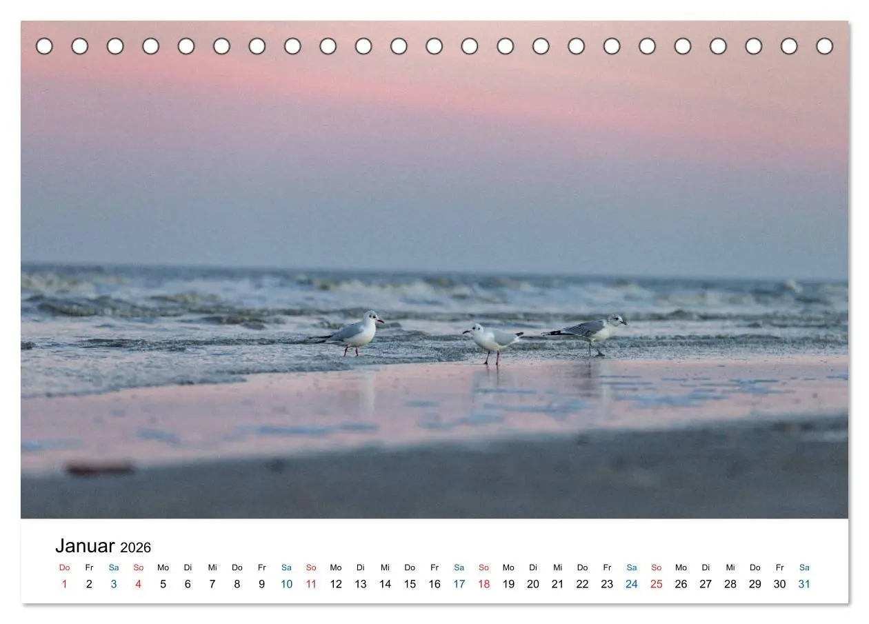 Bild: 9783457718179 | Lichtstimmungen in Sankt Peter-Ording (Tischkalender 2026 DIN A5...