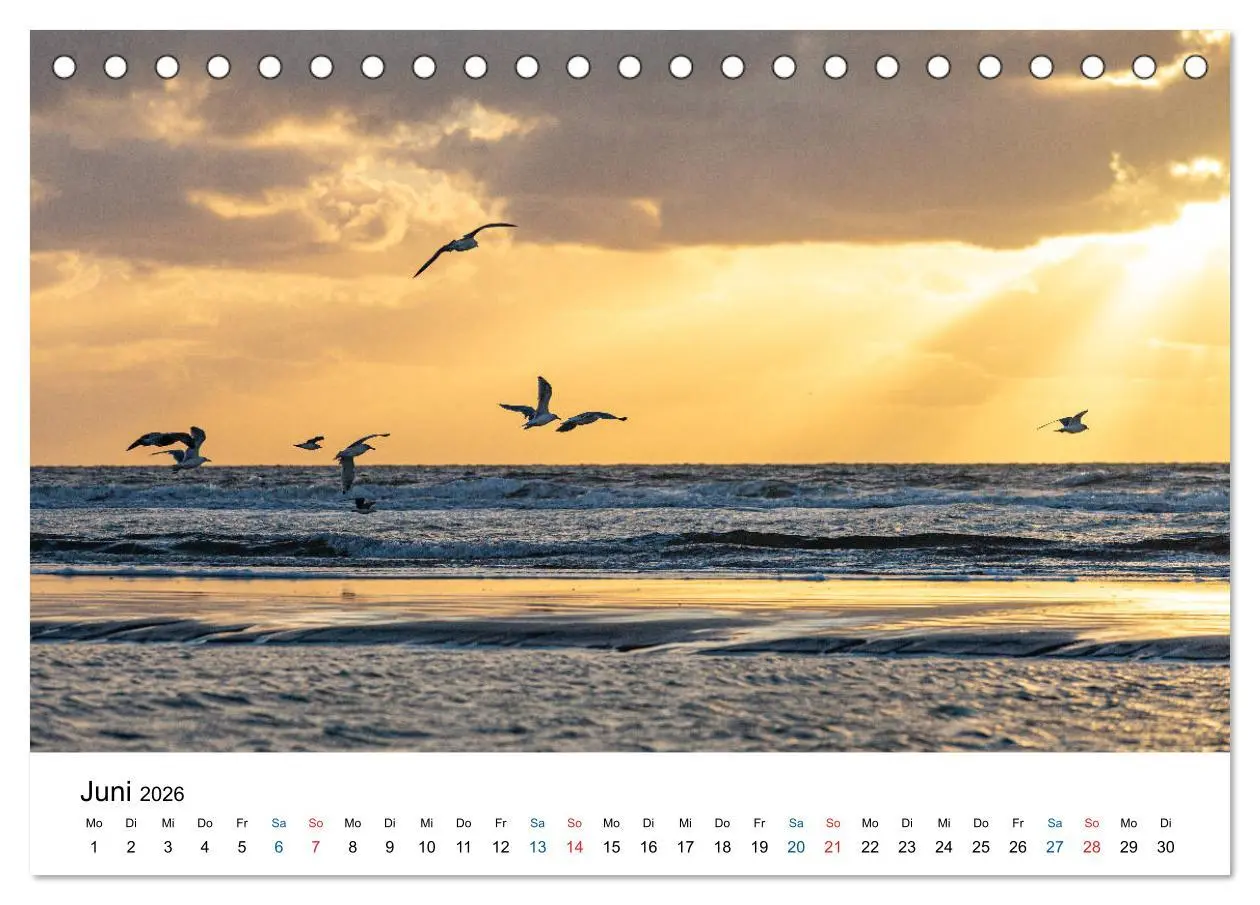 Bild: 9783457718179 | Lichtstimmungen in Sankt Peter-Ording (Tischkalender 2026 DIN A5...
