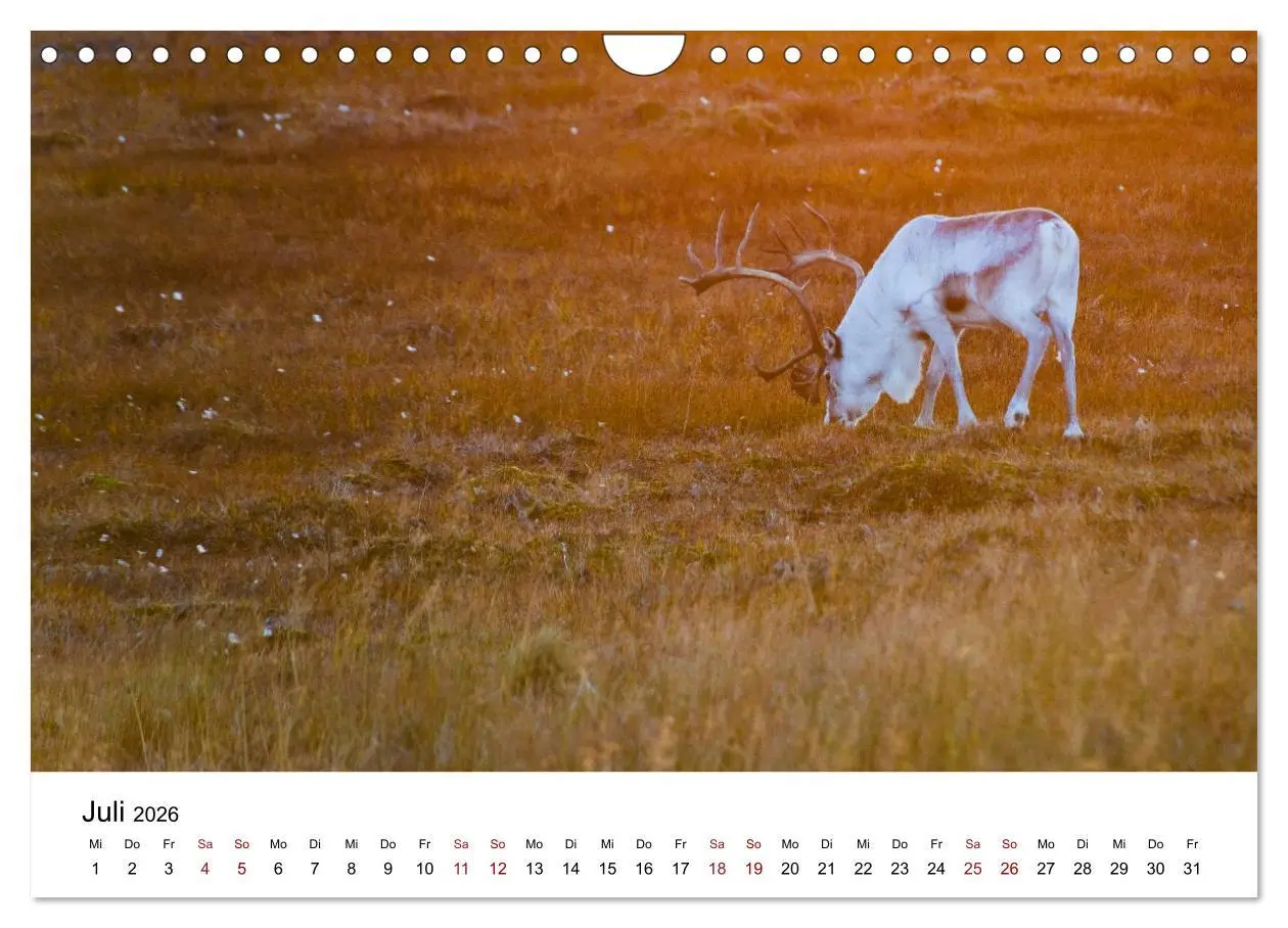 Bild: 9783457888179 | Skandinavien - Hoch im Norden (Wandkalender 2026 DIN A4 quer),...