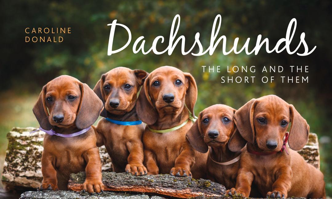 Cover: 9781910258279 | Dachshunds | The Long and the Short of Them | Caroline Donald | Buch
