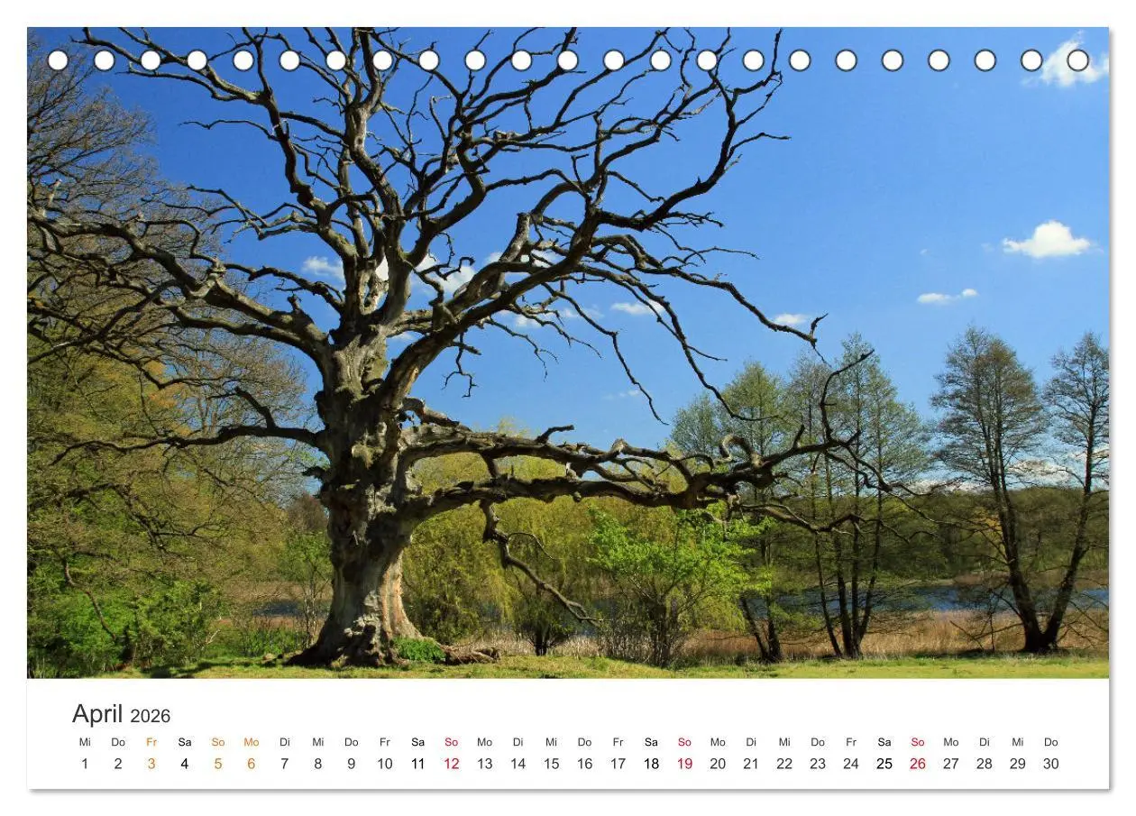 Bild: 9783457638279 | Faszination Natur - Bilder aus Mecklenburg-Vorpommern...