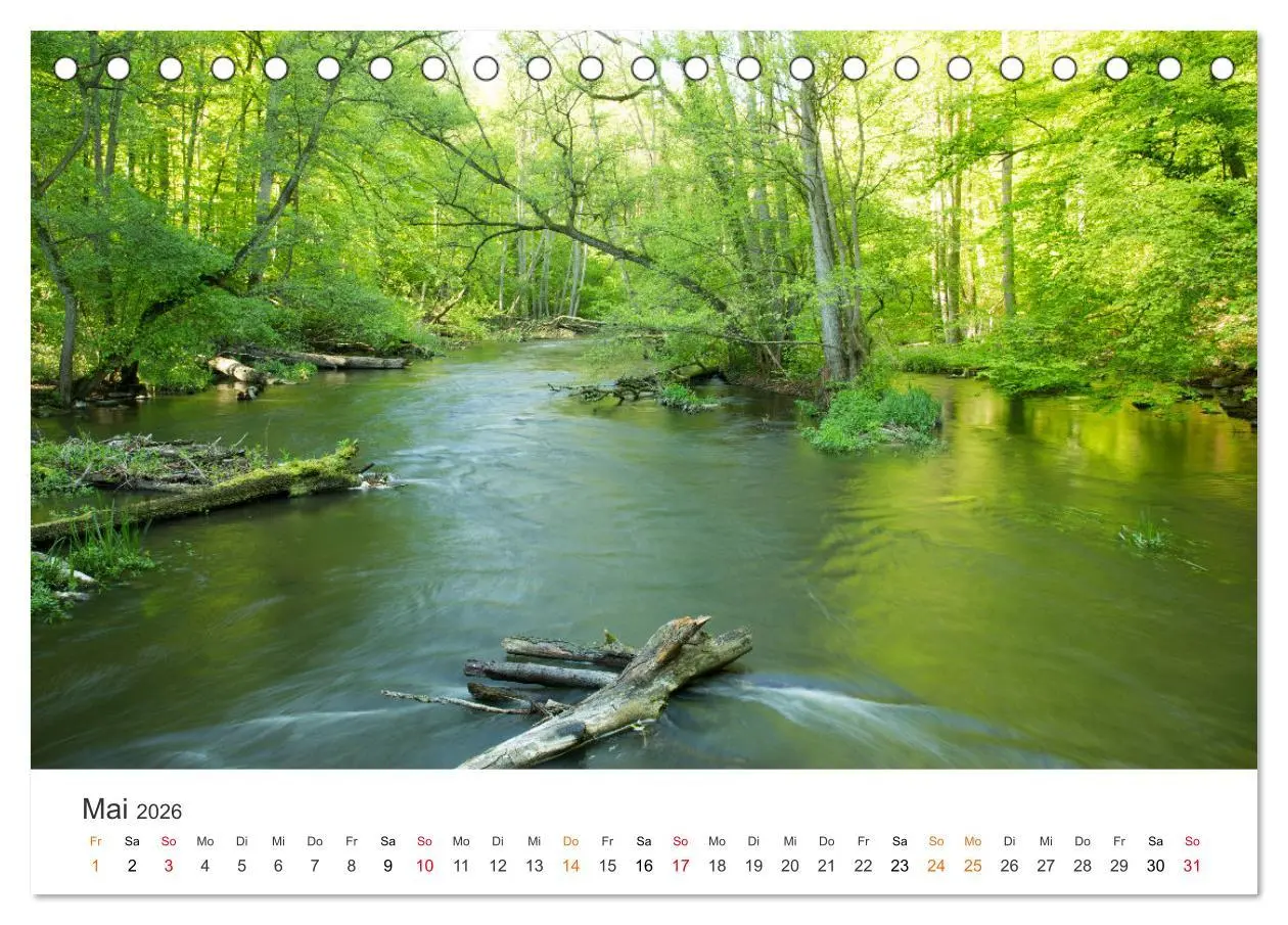 Bild: 9783457638279 | Faszination Natur - Bilder aus Mecklenburg-Vorpommern...