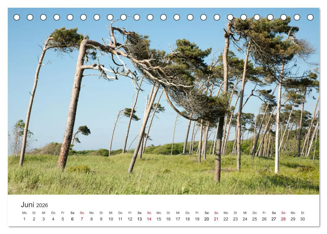 Bild: 9783457638279 | Faszination Natur - Bilder aus Mecklenburg-Vorpommern...