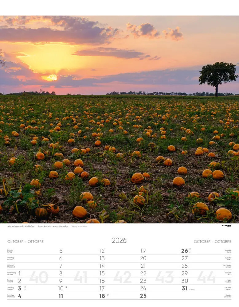 Bild: 9788868398279 | Österreich Kalender 2026 | Austria | Athesia-Tappeiner Verlag | 14 S.