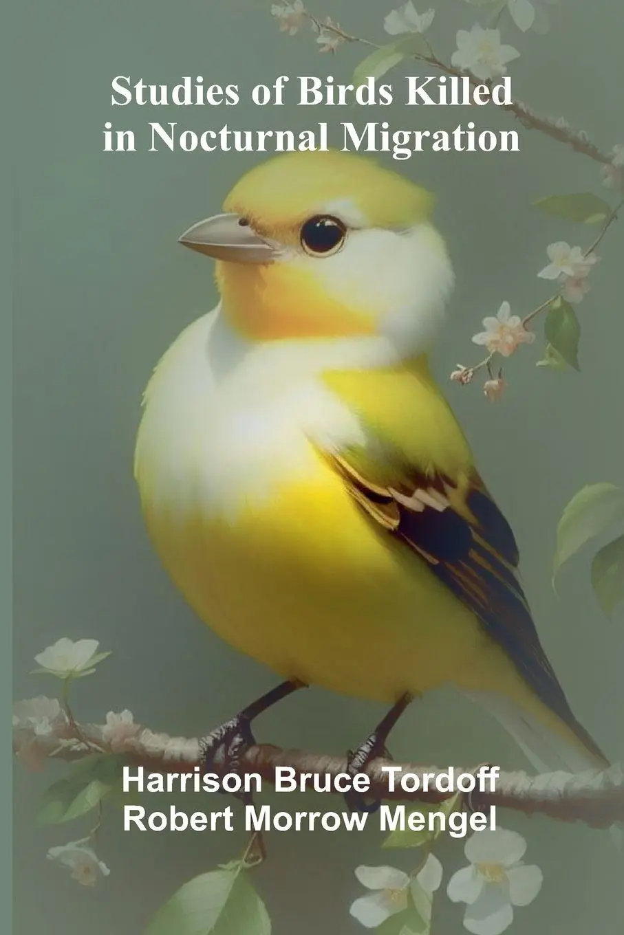 Cover: 9789364738279 | Studies of Birds Killed in Nocturnal Migration | Mengel | Taschenbuch